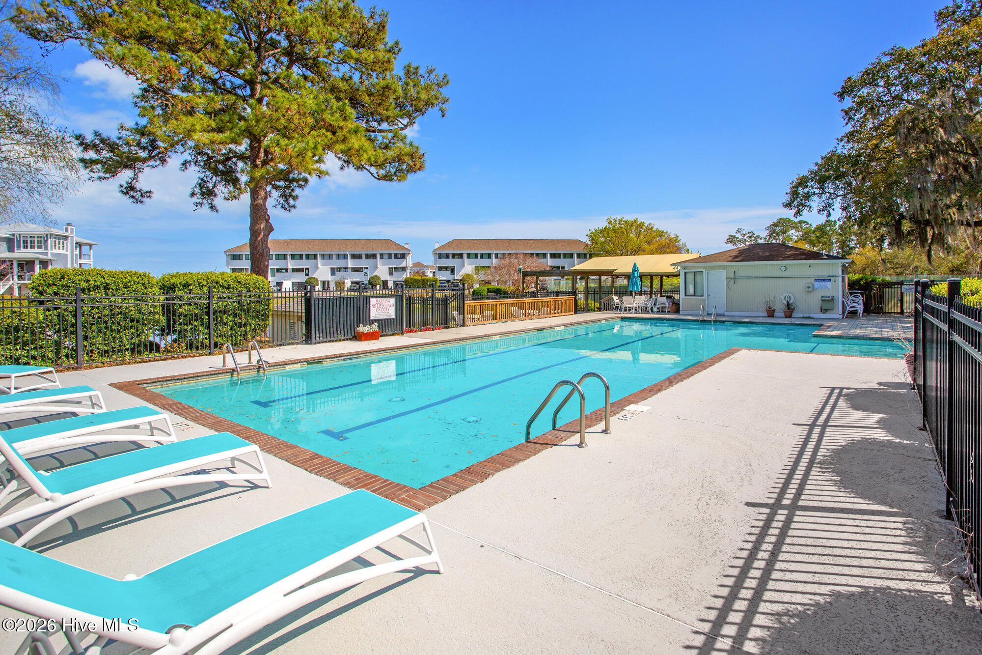 100564405 | Photo 31