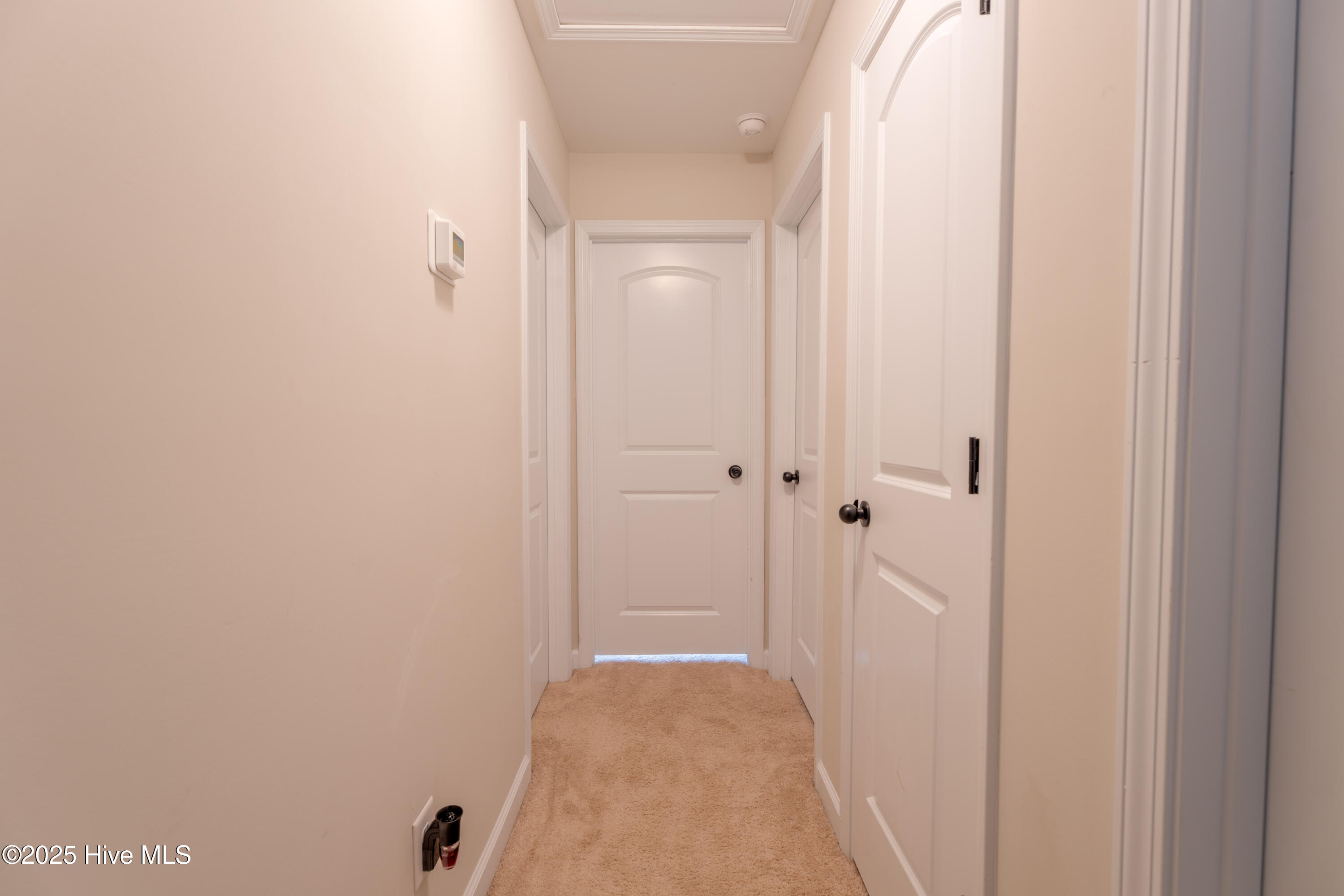 502 Ginn Street, Jacksonville, NC 28540 – photo 17: 502 Ginn Street-17