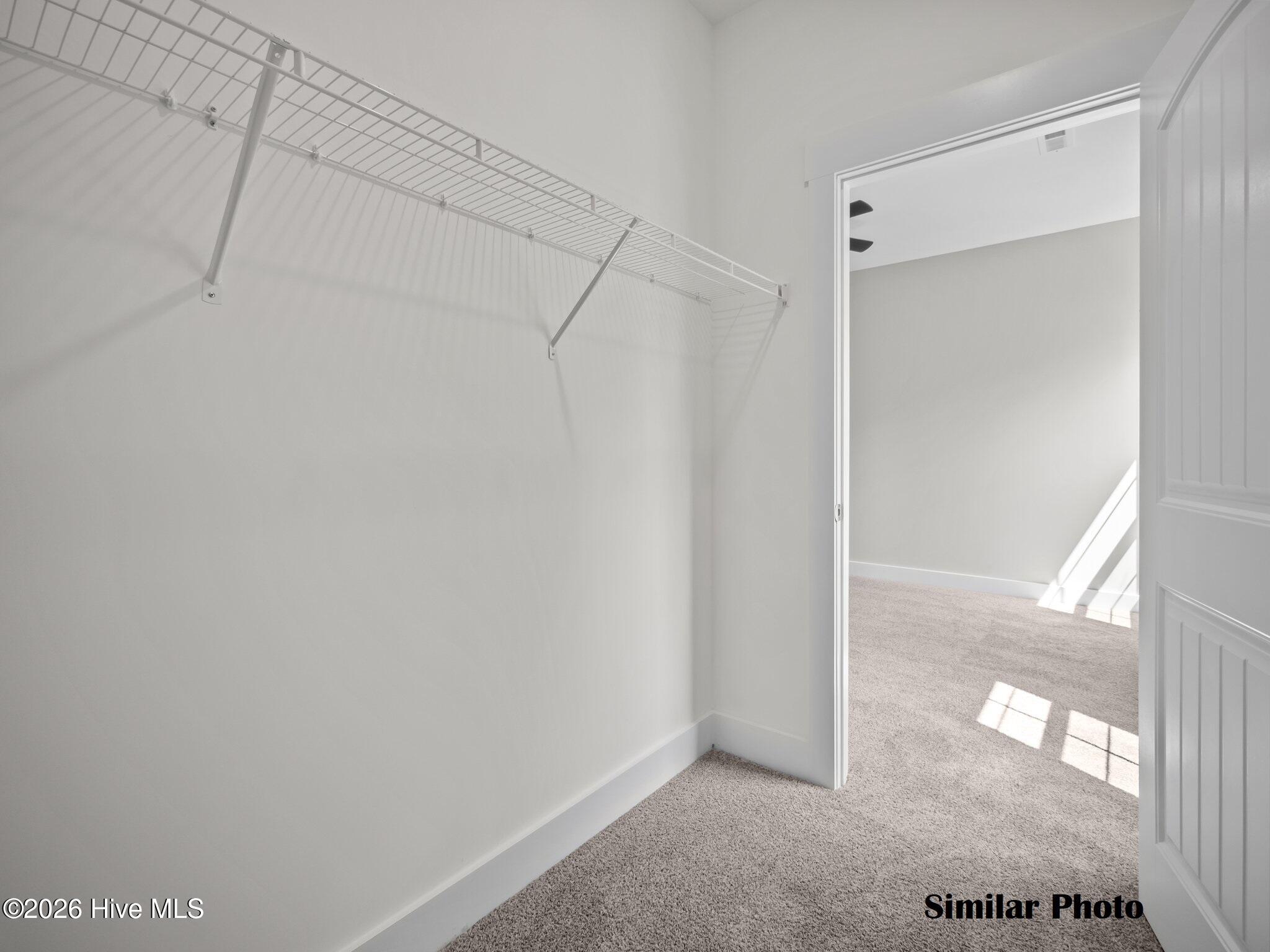 100563790 | Photo 30