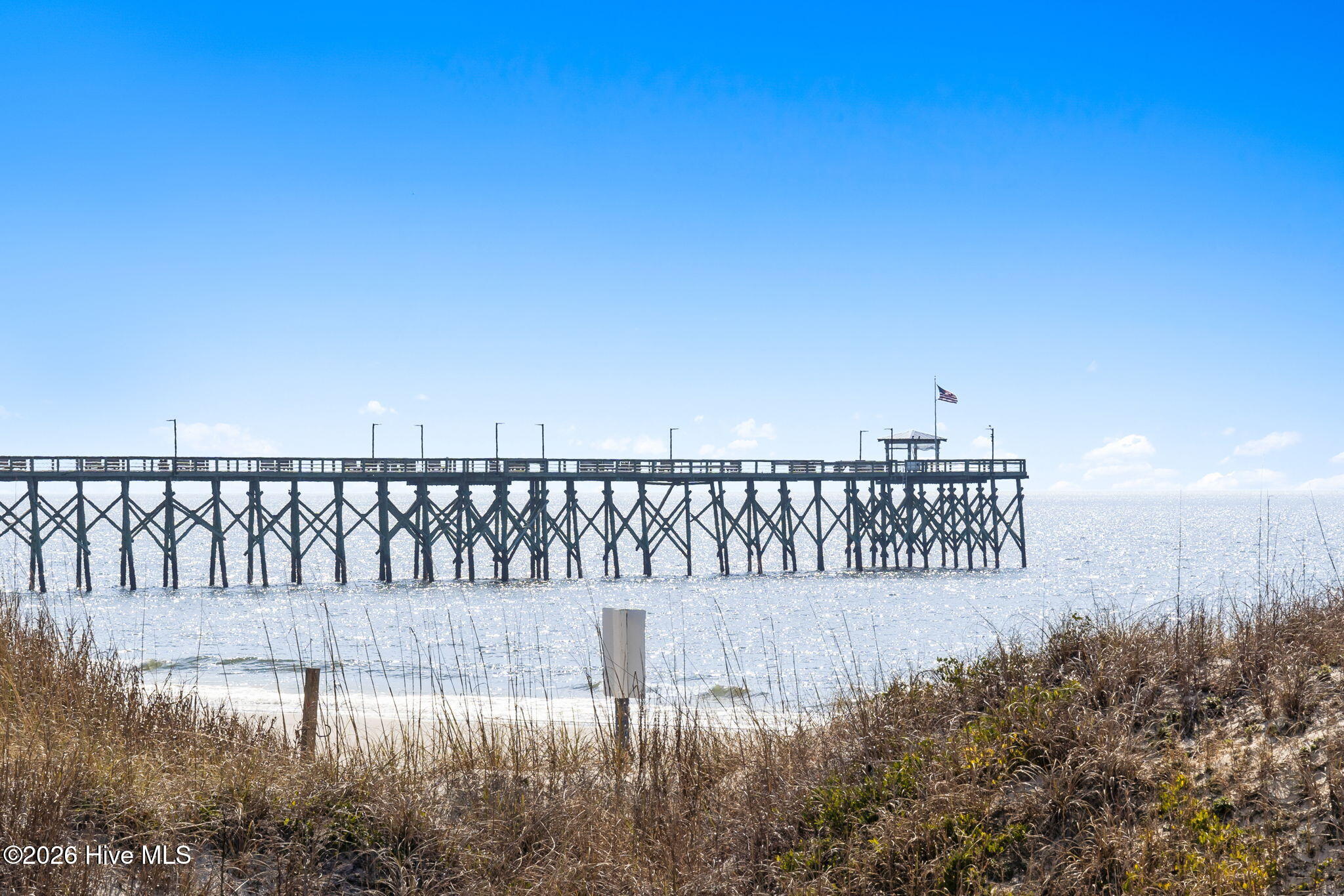 100563508 | Photo 24