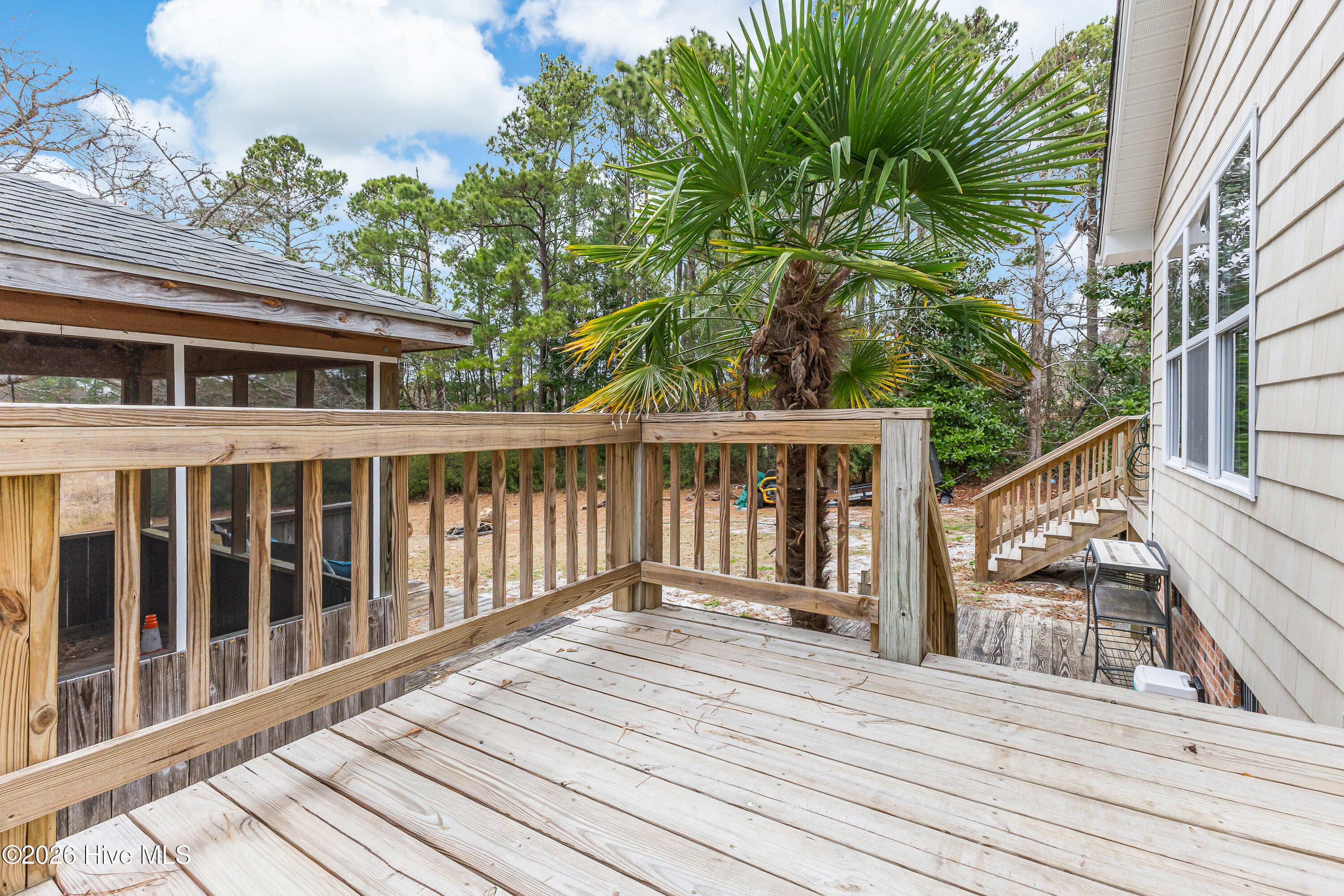 100551120 | Photo 32