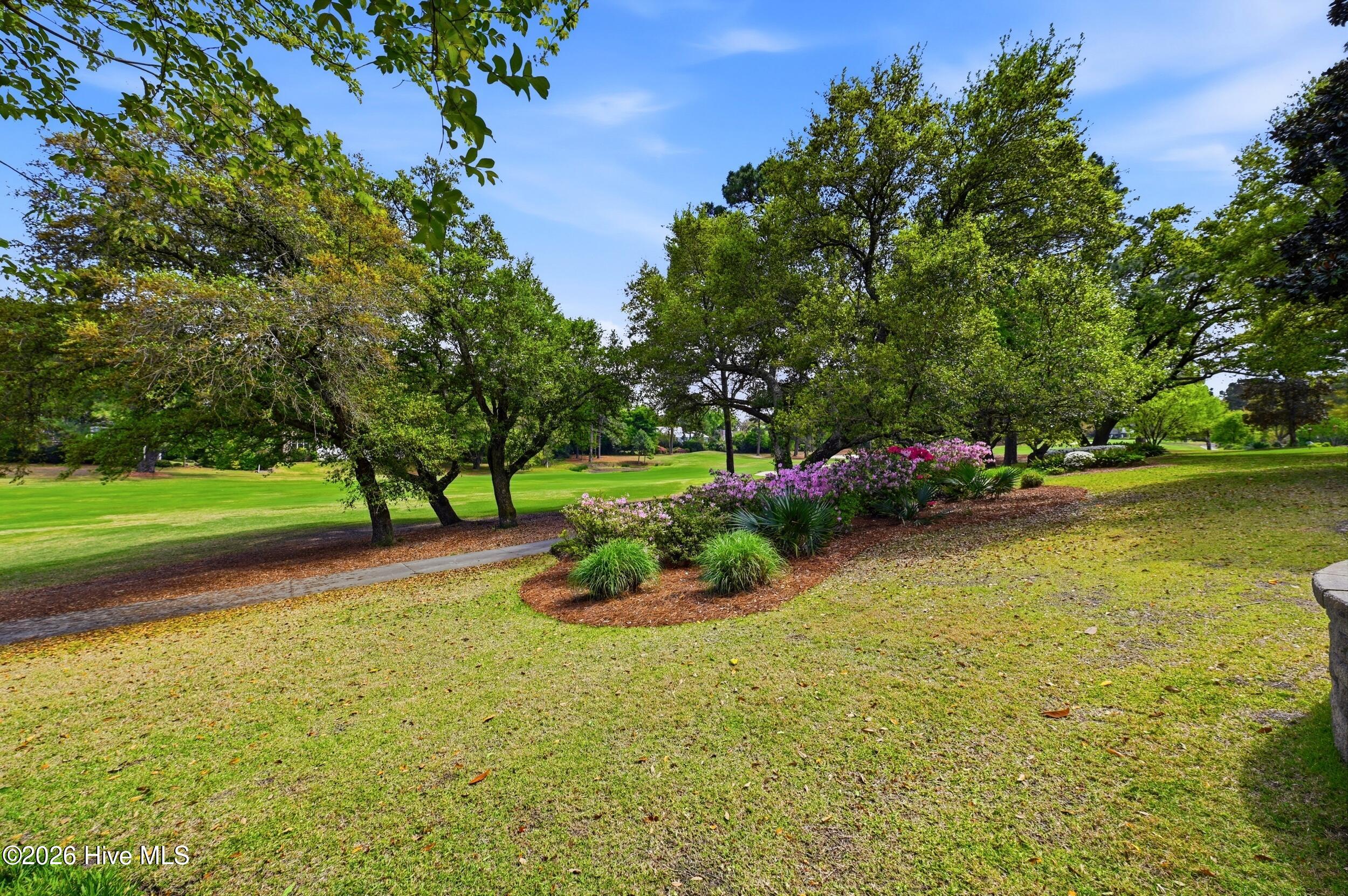 100566149 | Photo 46