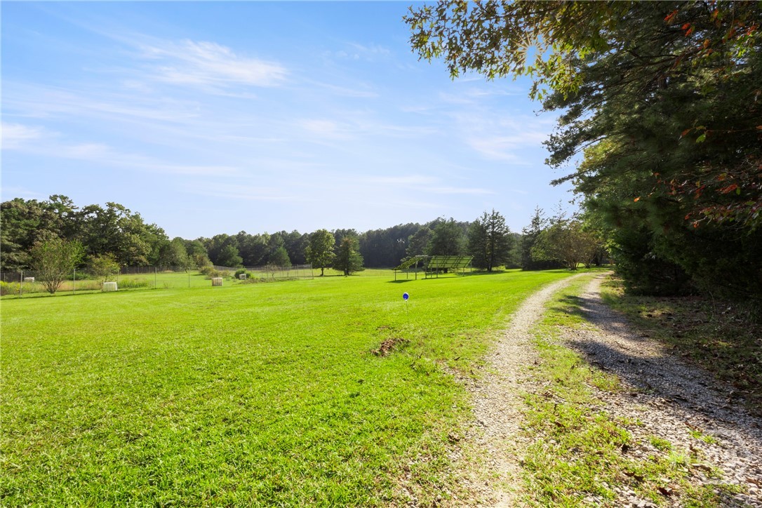 Long driveway through the meadow!