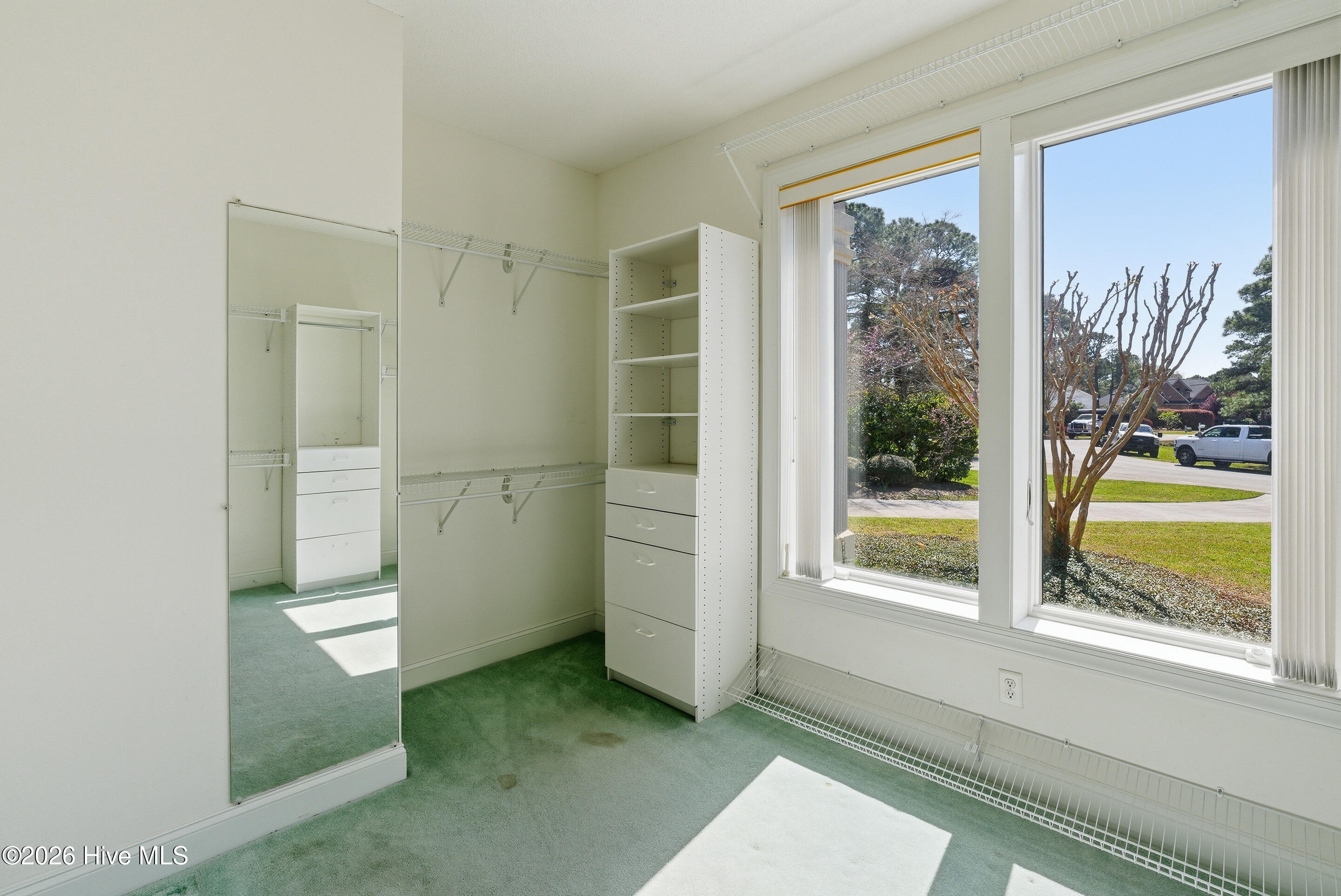 100564038 | Photo 33