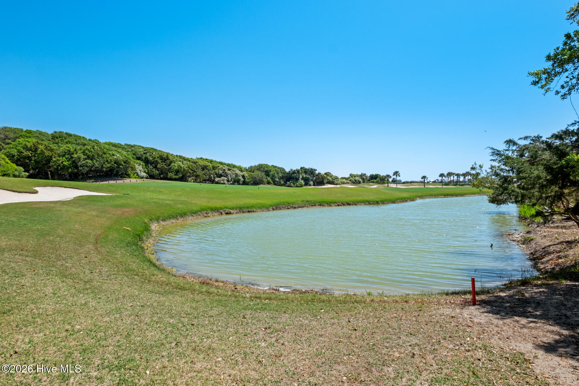 100569244 | Photo 44