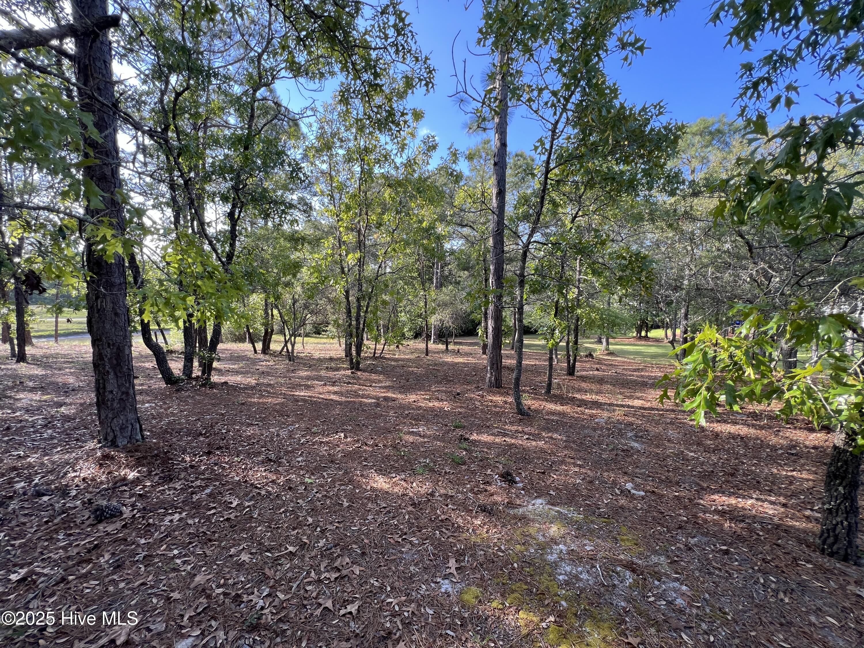 100506027 | Photo 25