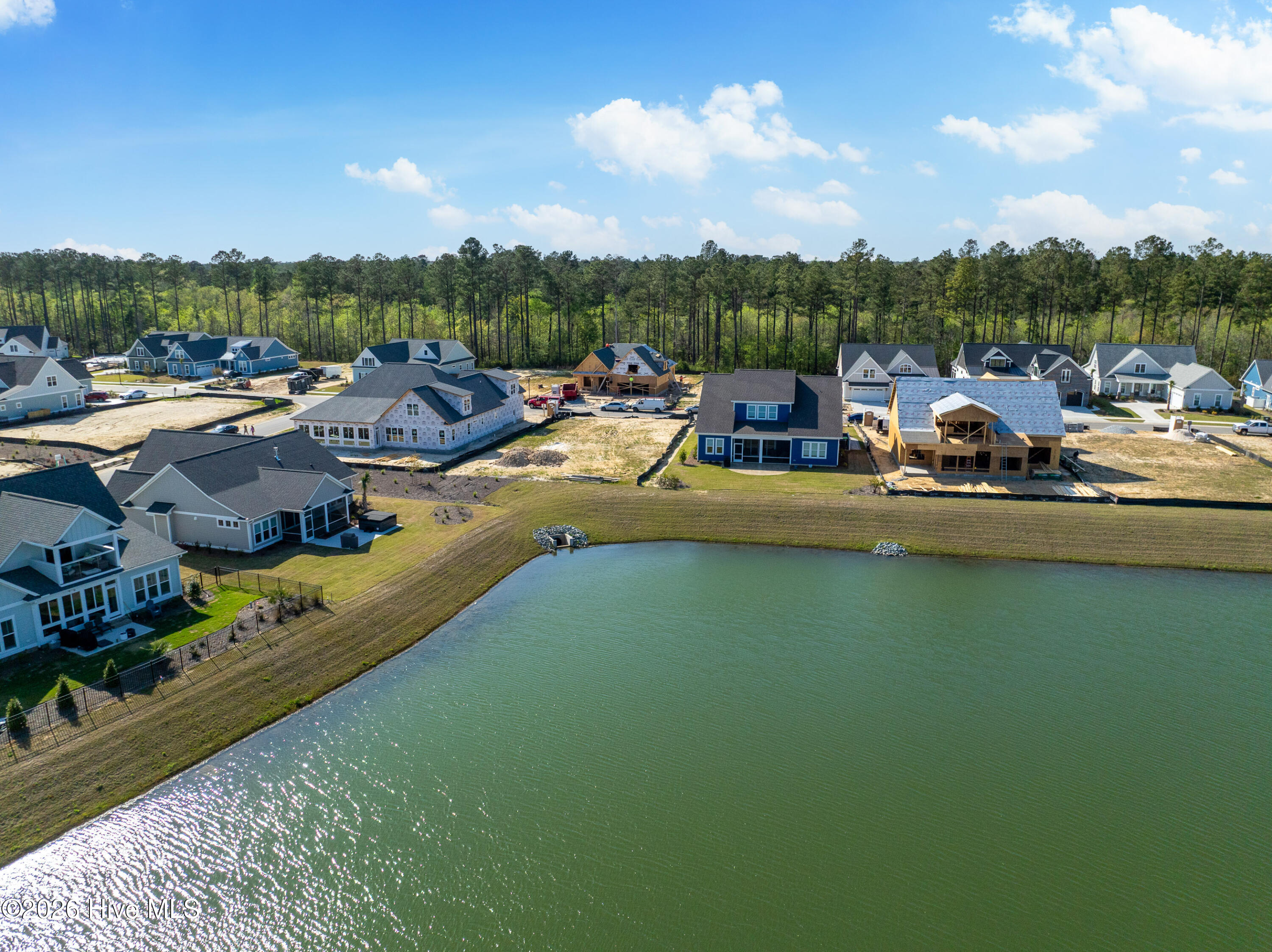 100564727 | Photo 25