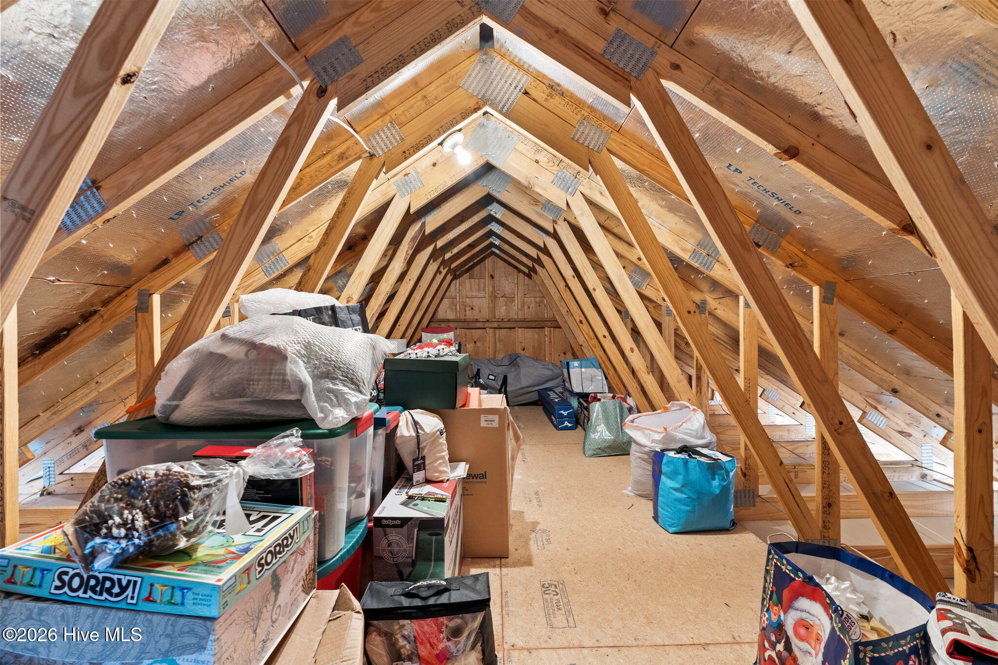 100552042 | Photo 38