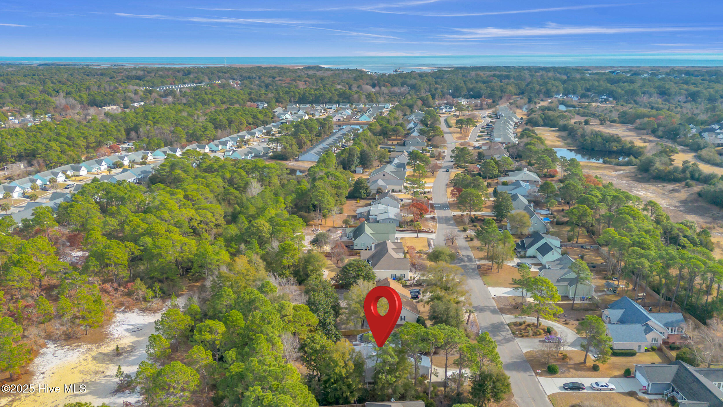 100546035 | Photo 39