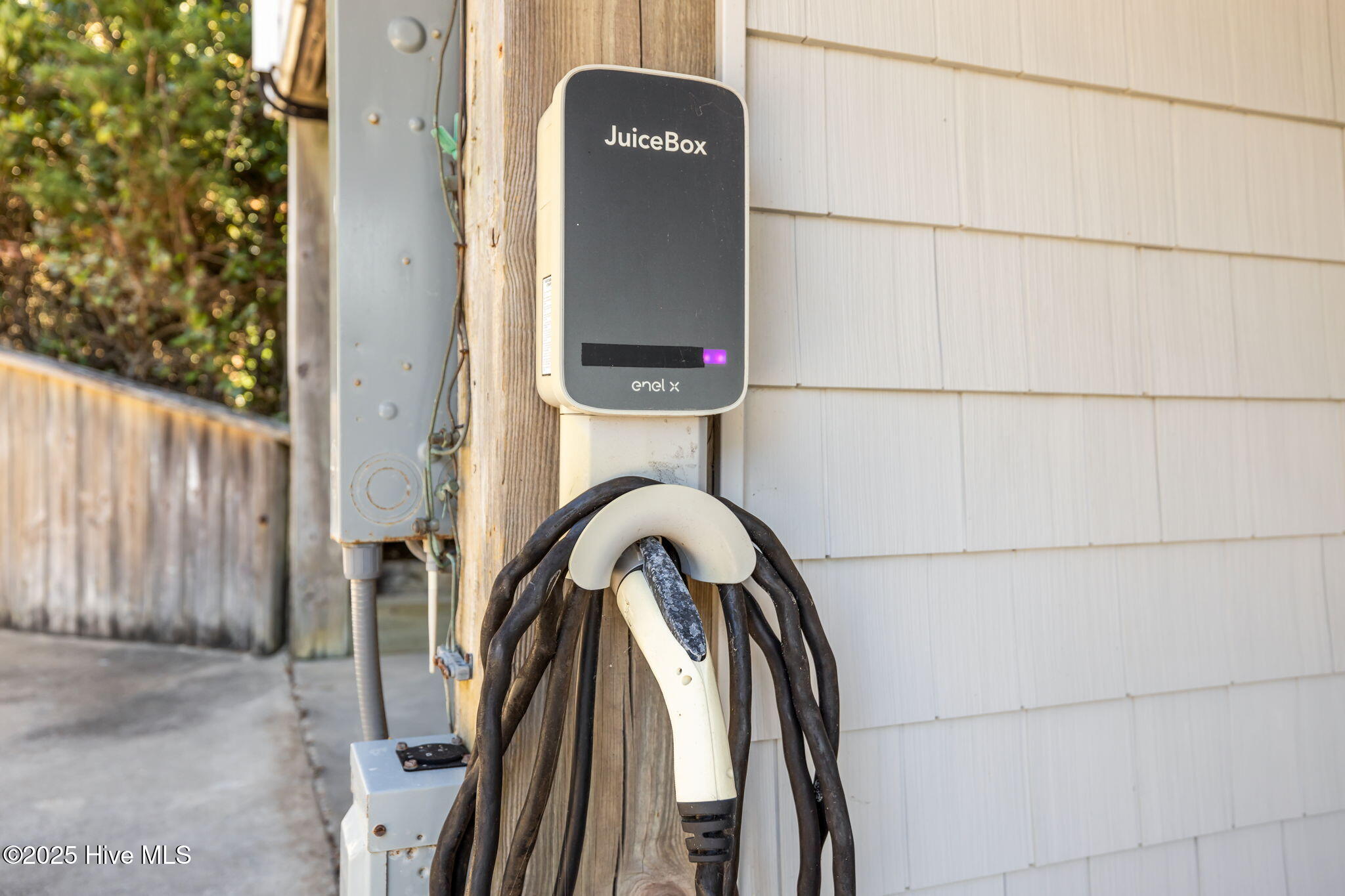 100536314 | Photo 40