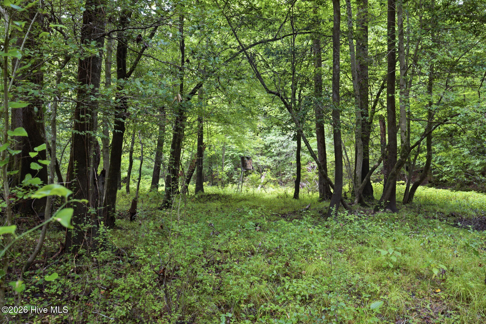 100589008 | Photo 18