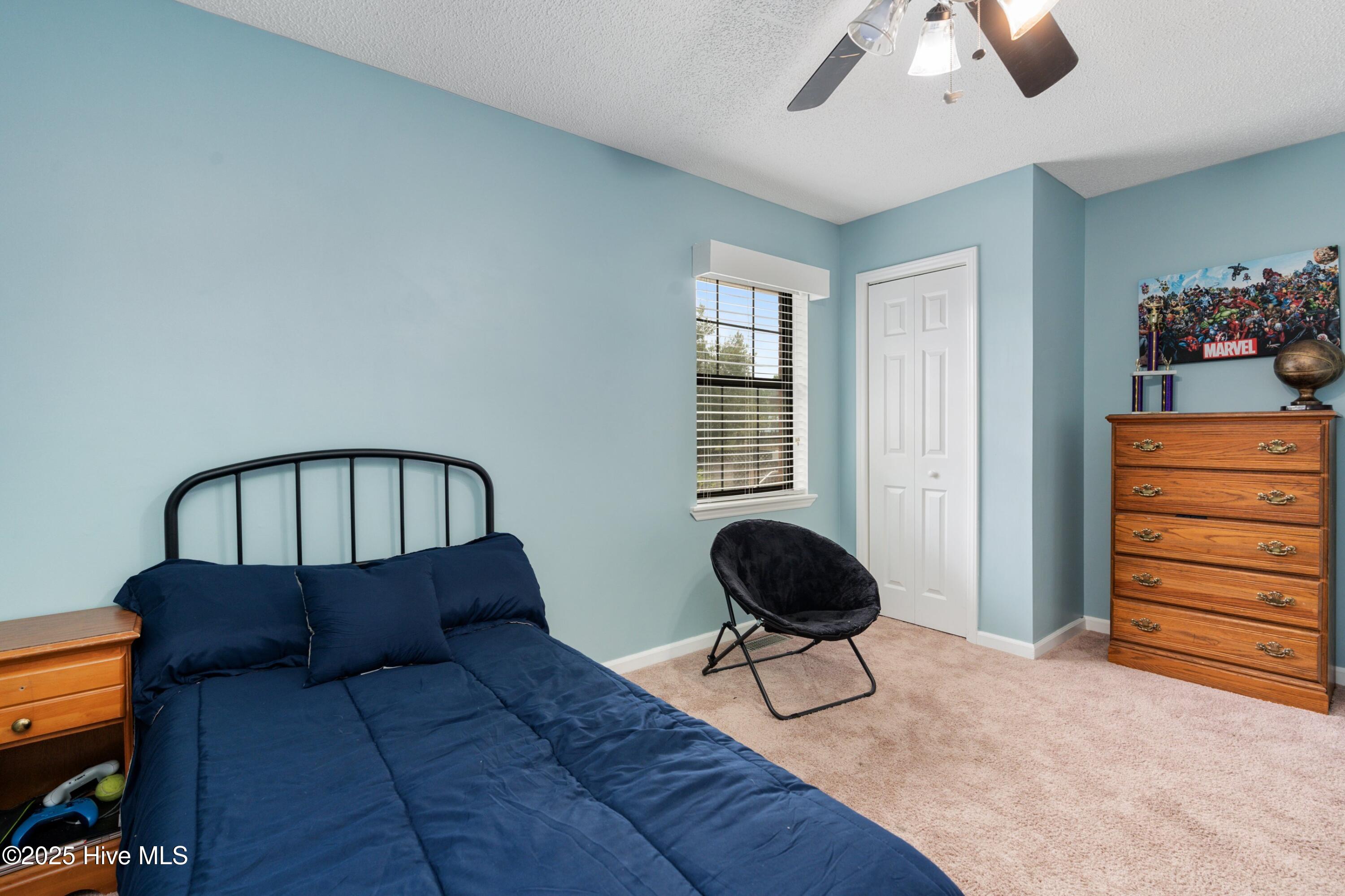 100536275 | Photo 31