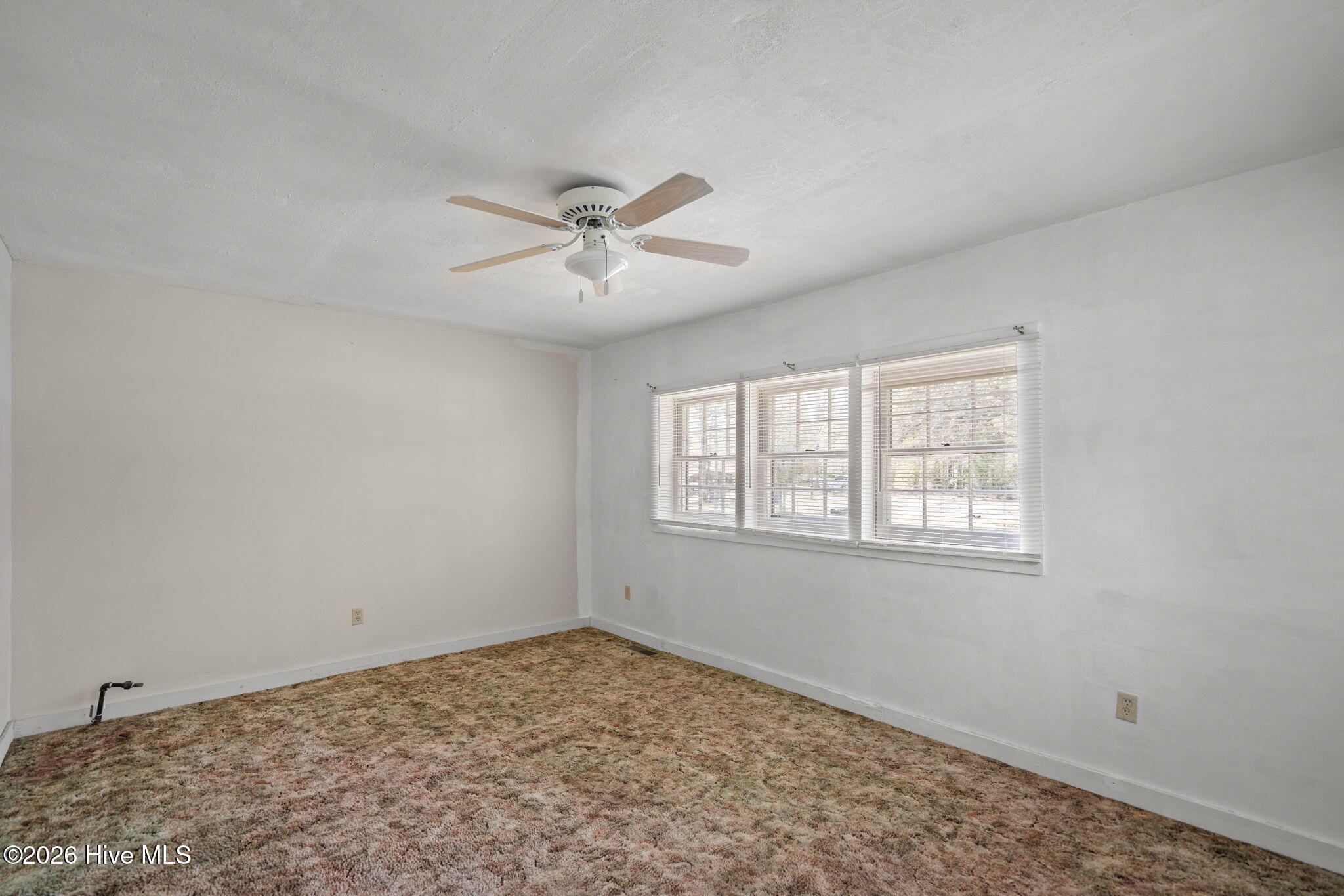 100563221 | Photo 20