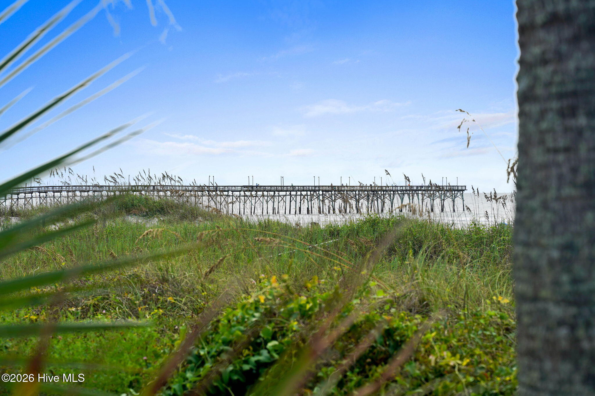 100568537 | Photo 45