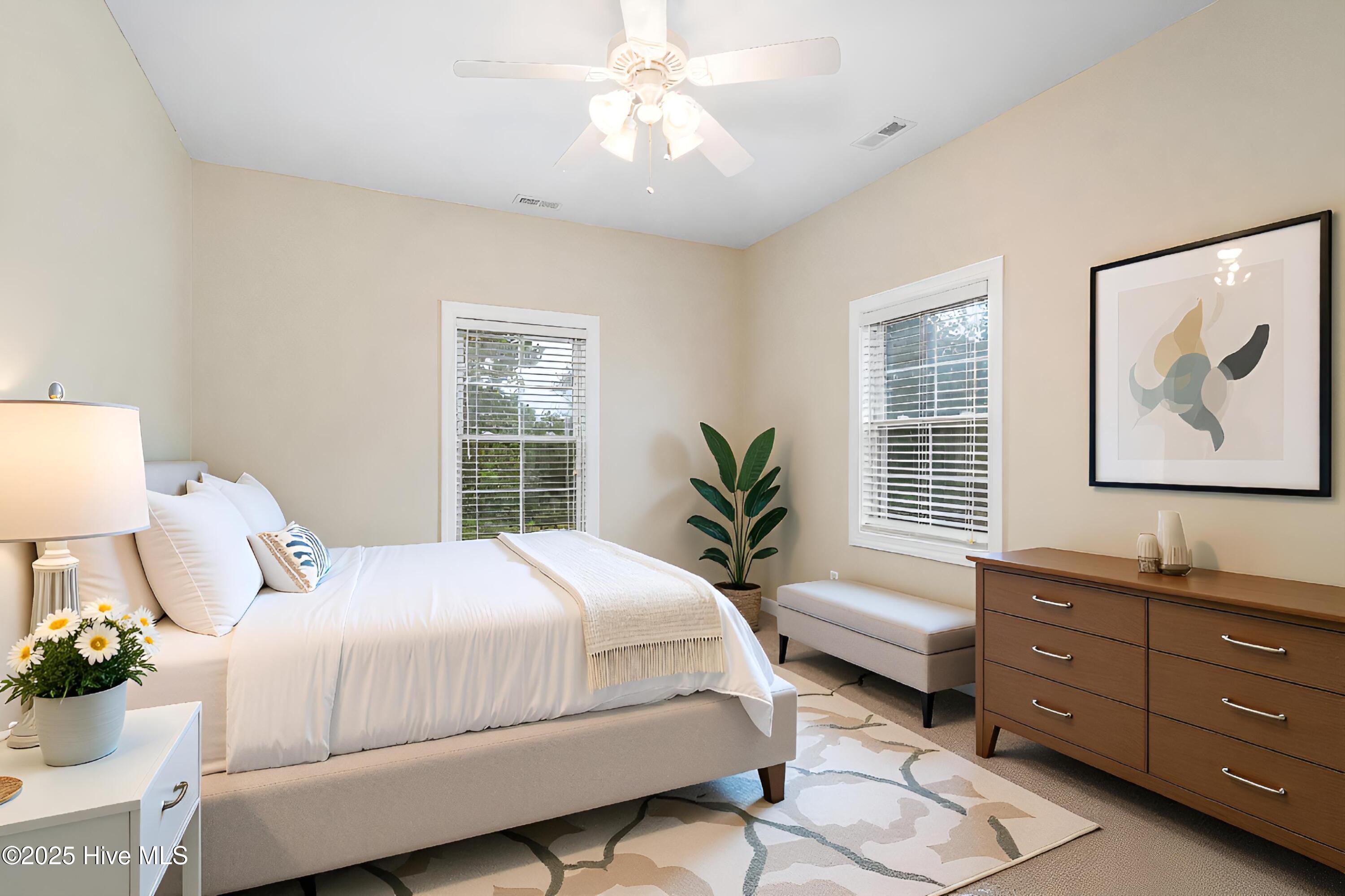 100536264 | Photo 25