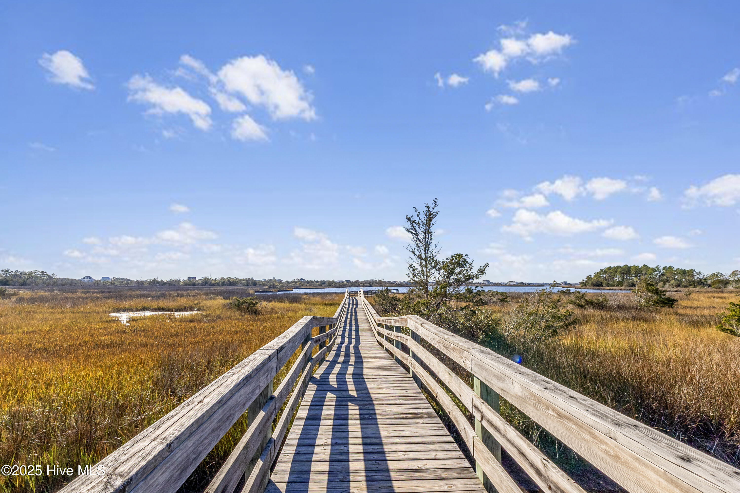 100543639 | Photo 41