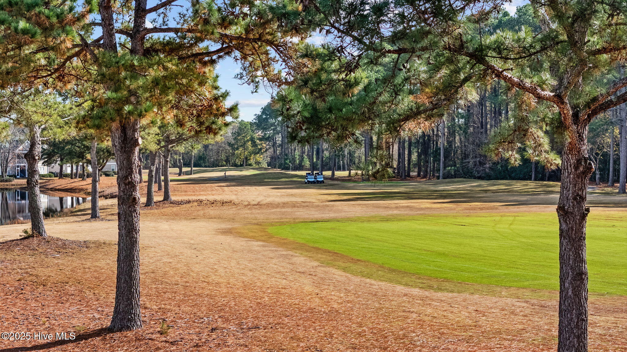 100546293 | Photo 33