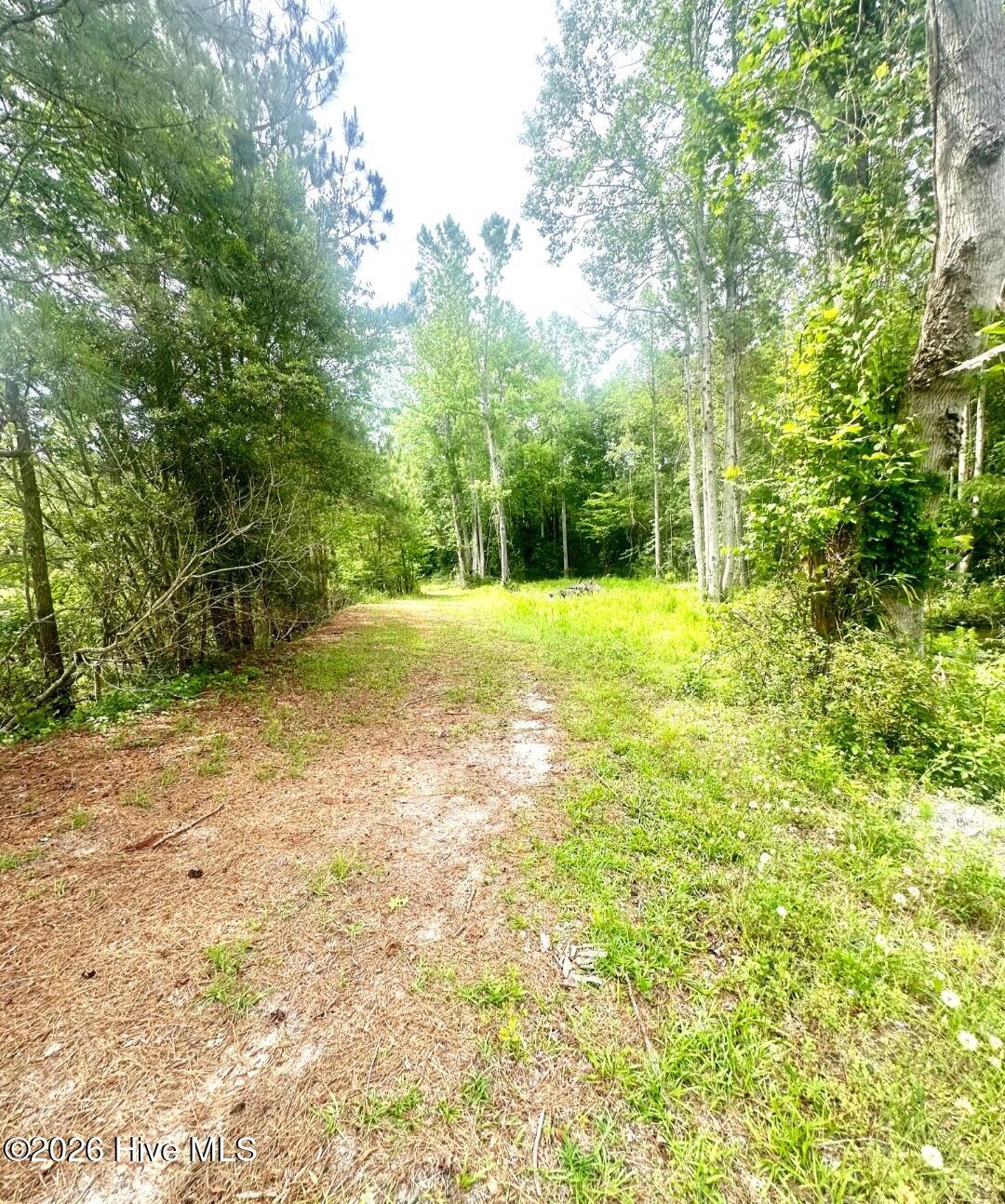 100550417 | Photo 41