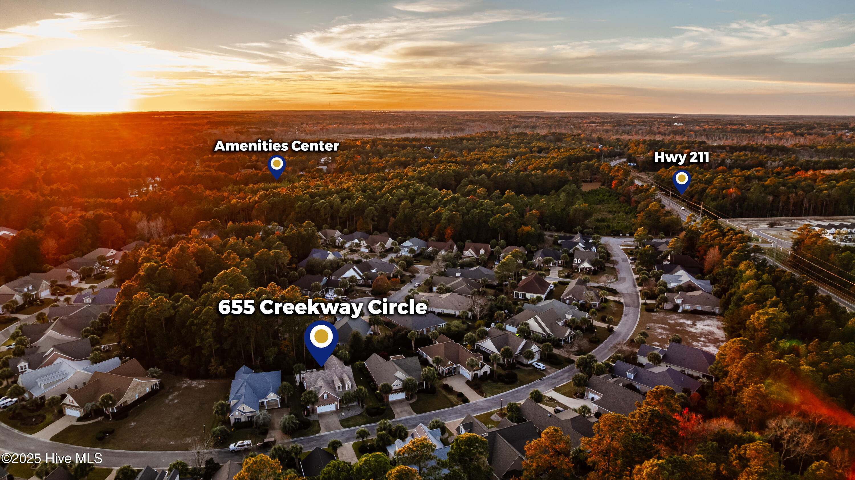 100542426 | Photo 50