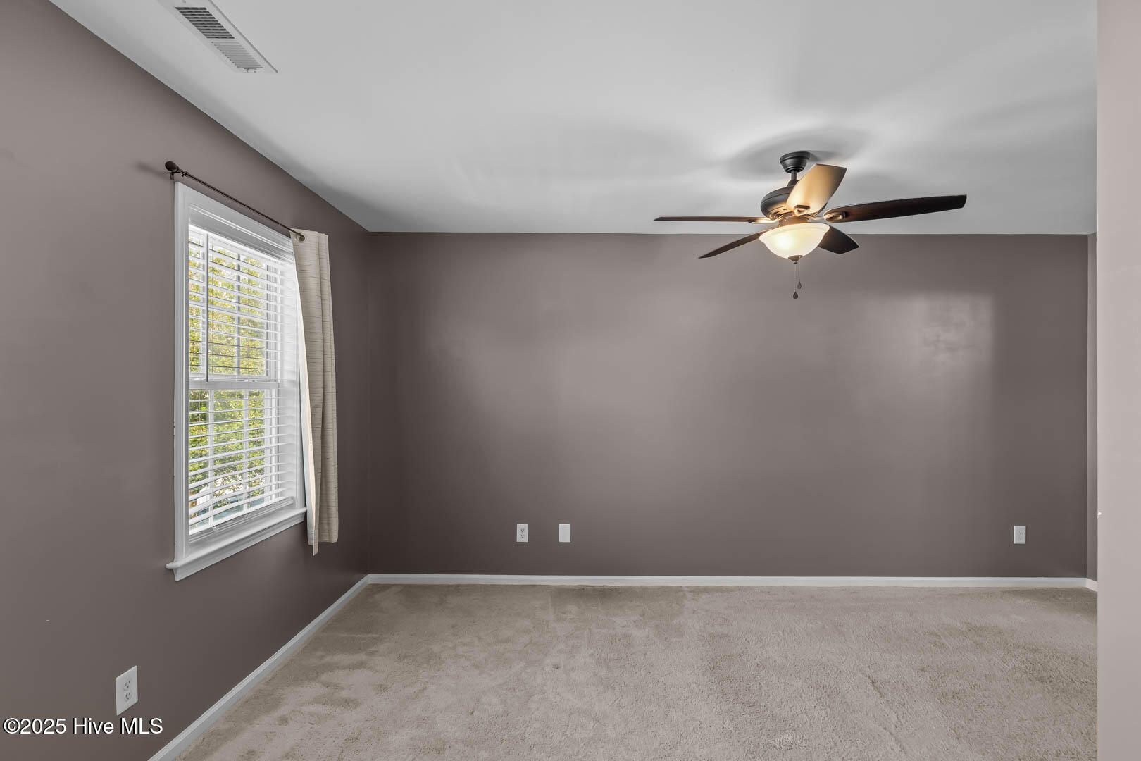 100576998 | Photo 18