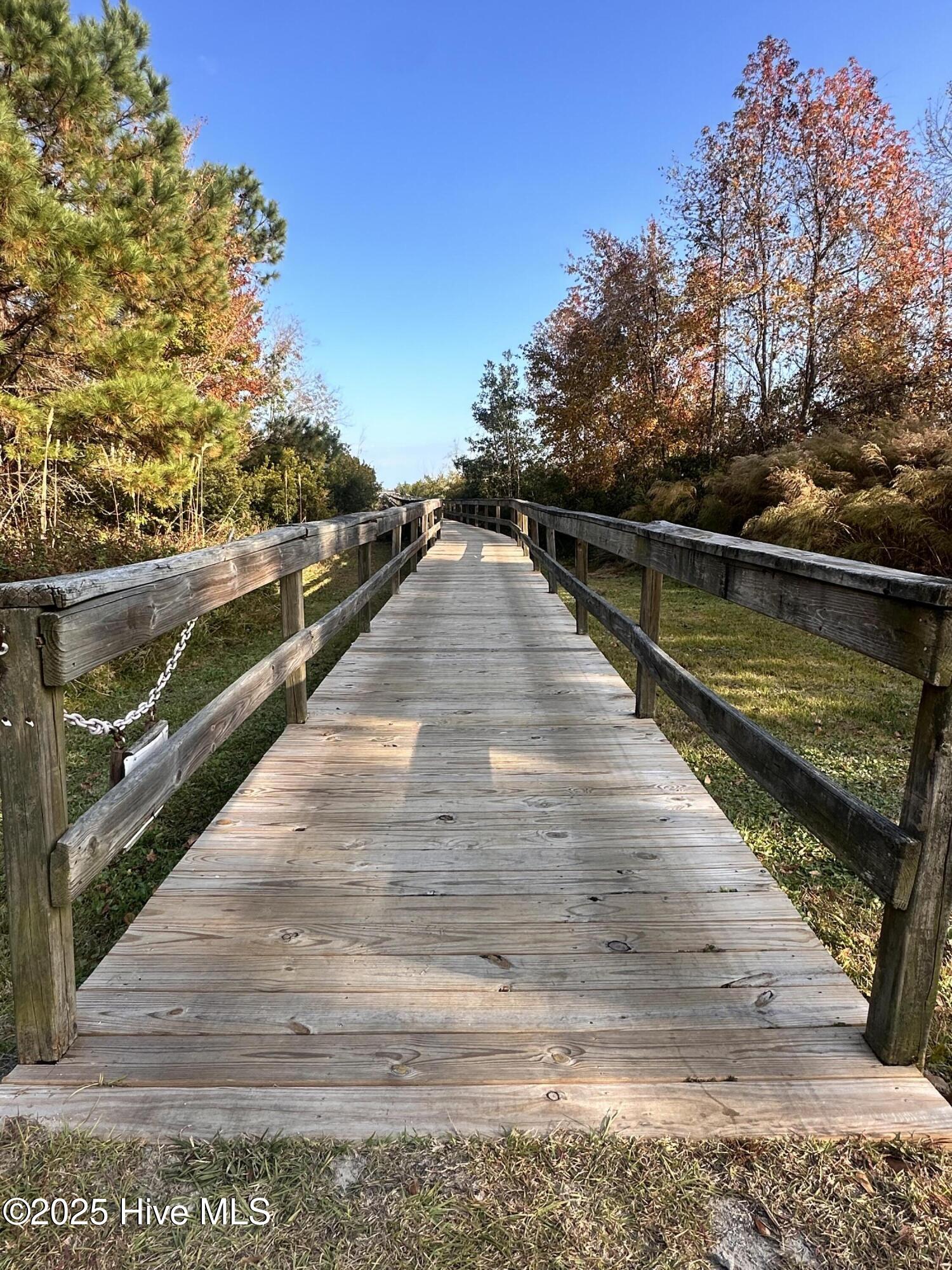 100542107 | Photo 24