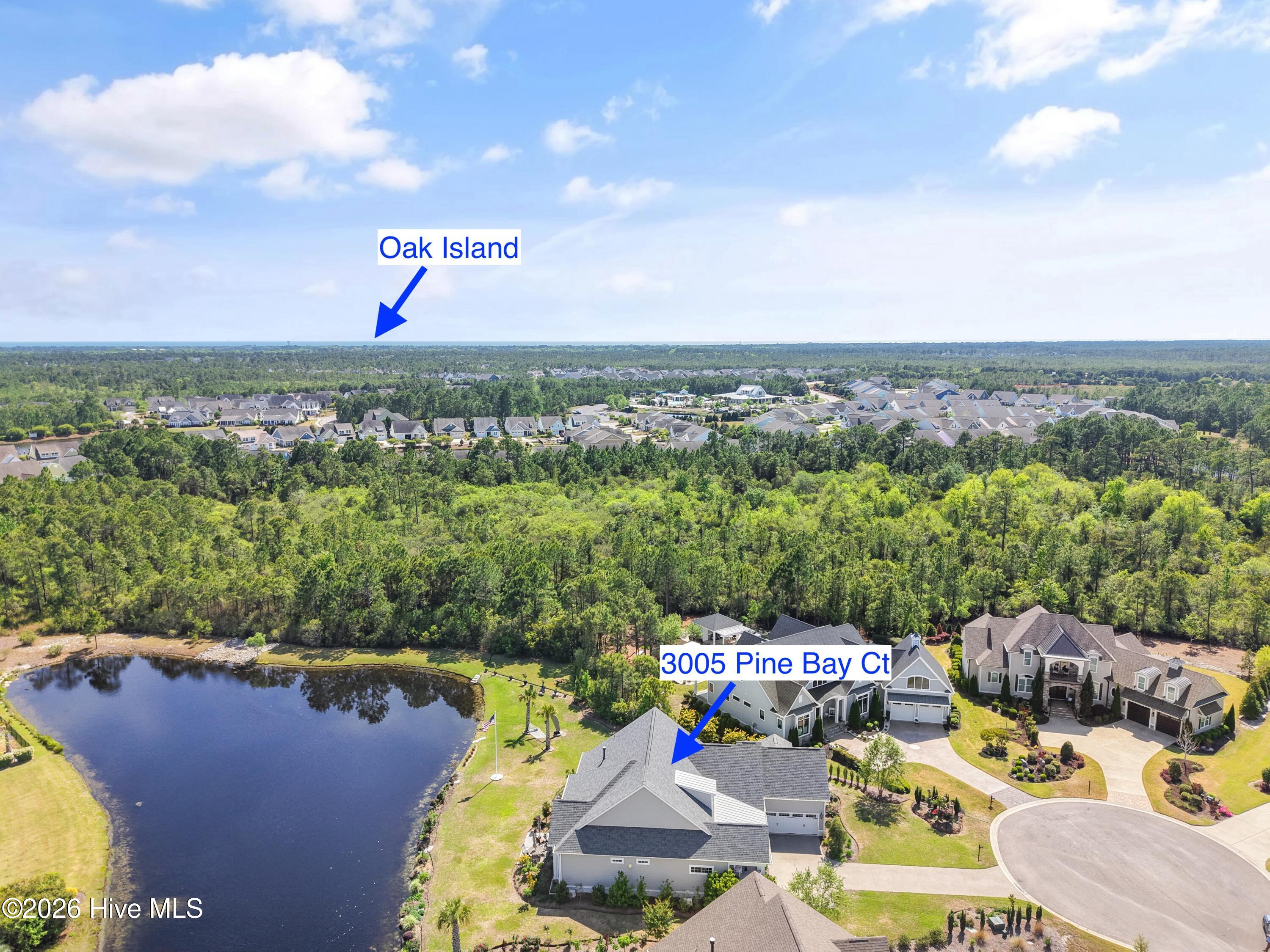 100560288 | Photo 101