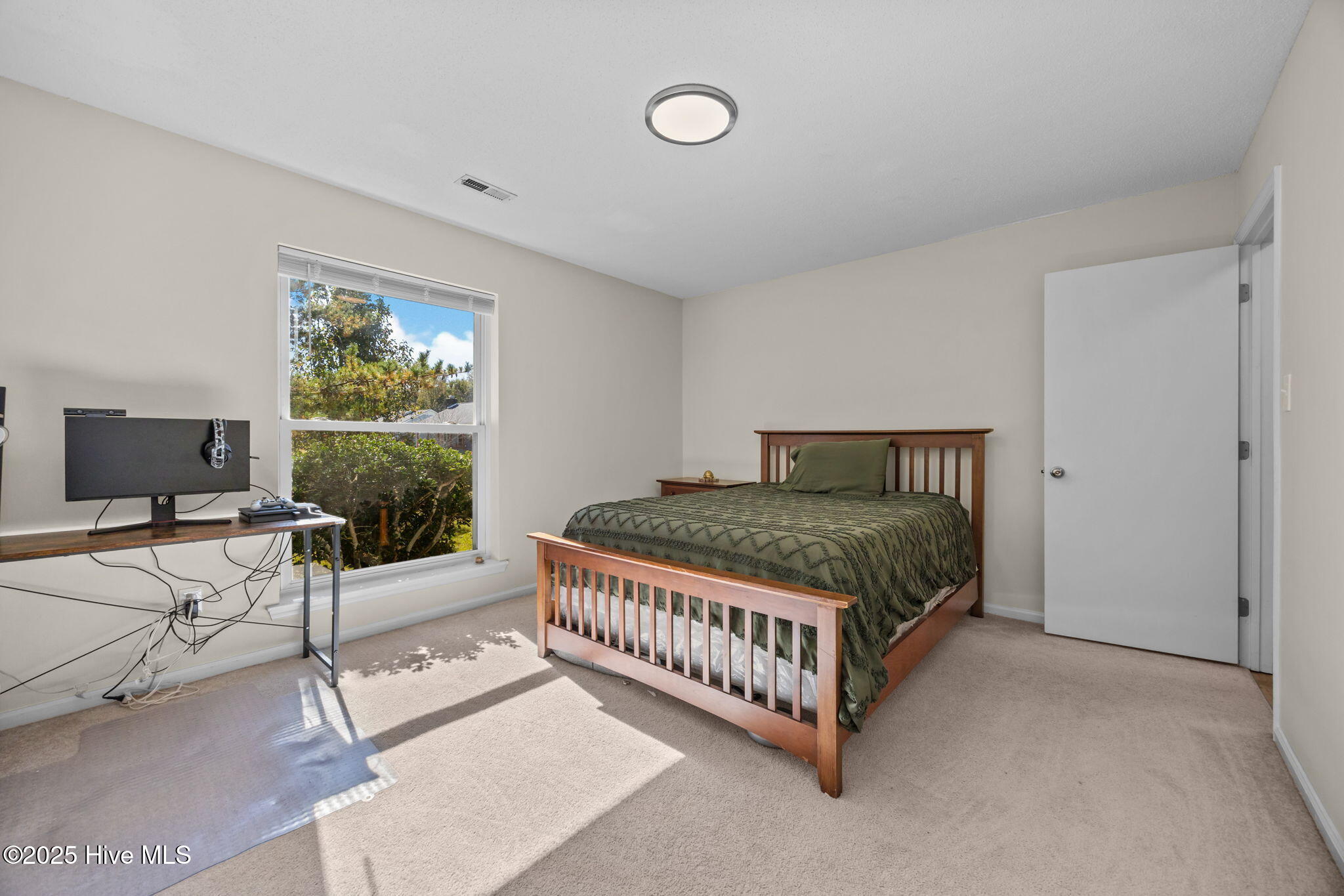 100515251 | Photo 14