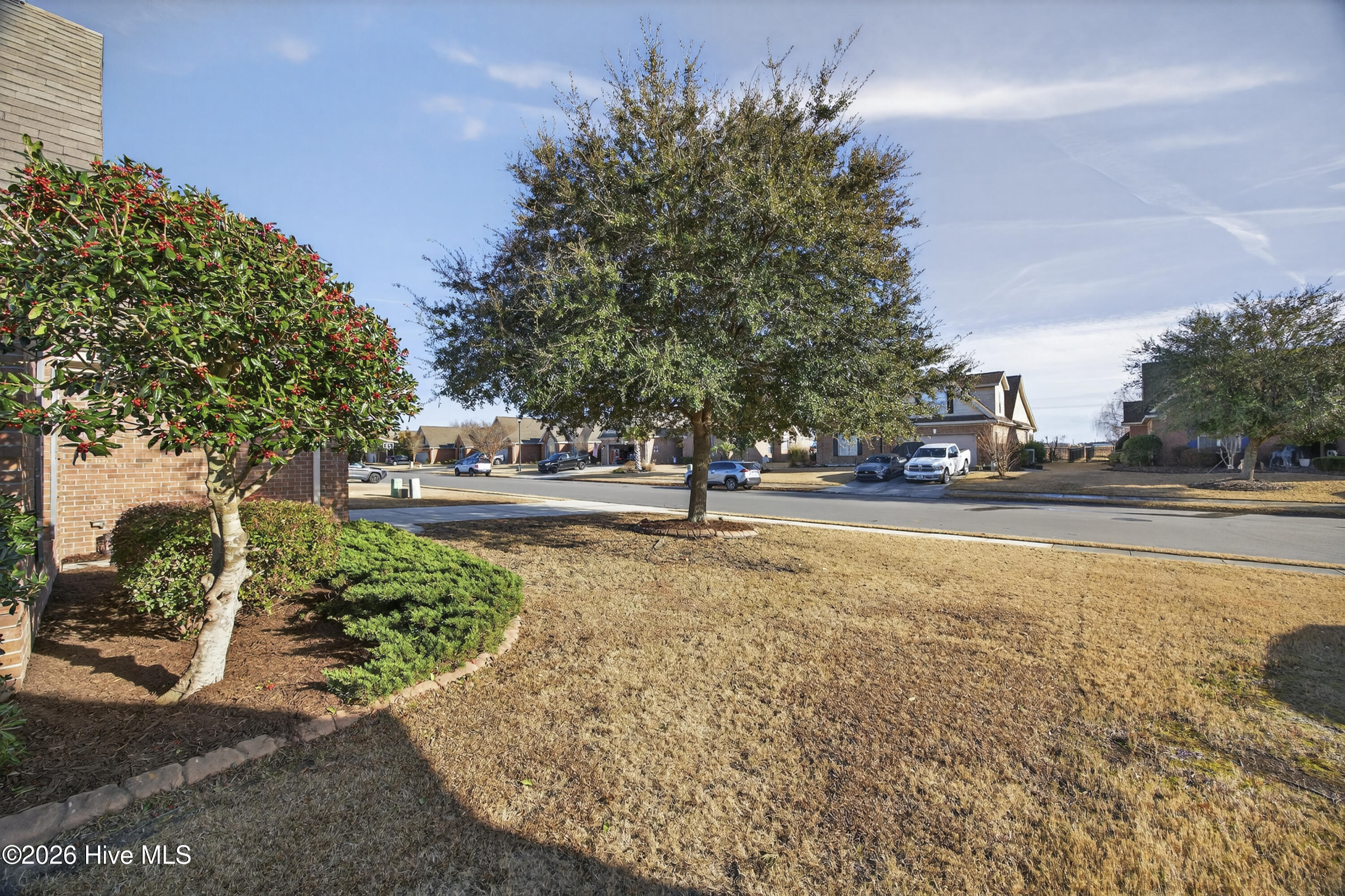 100550838 | Photo 50