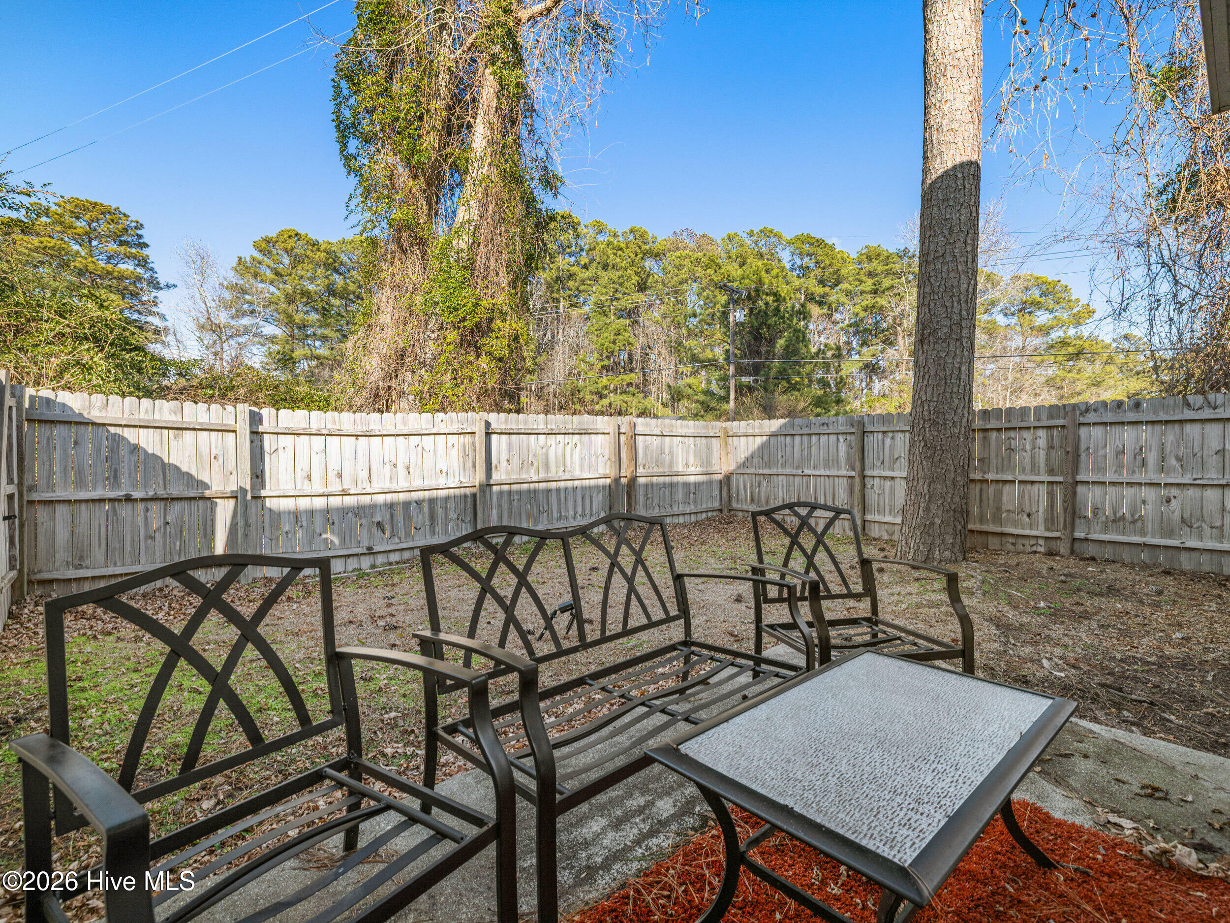 100554781 | Photo 22