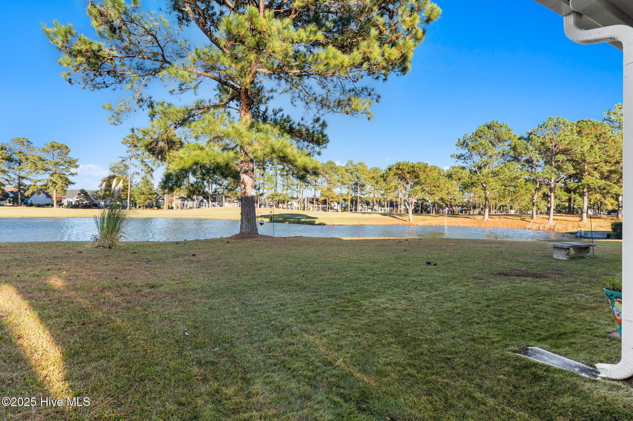 100543261 | Photo 31