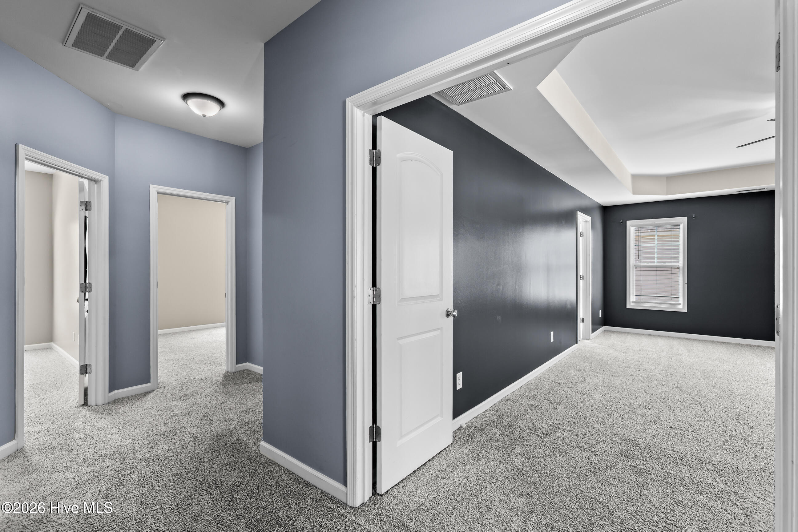 100562604 | Photo 19