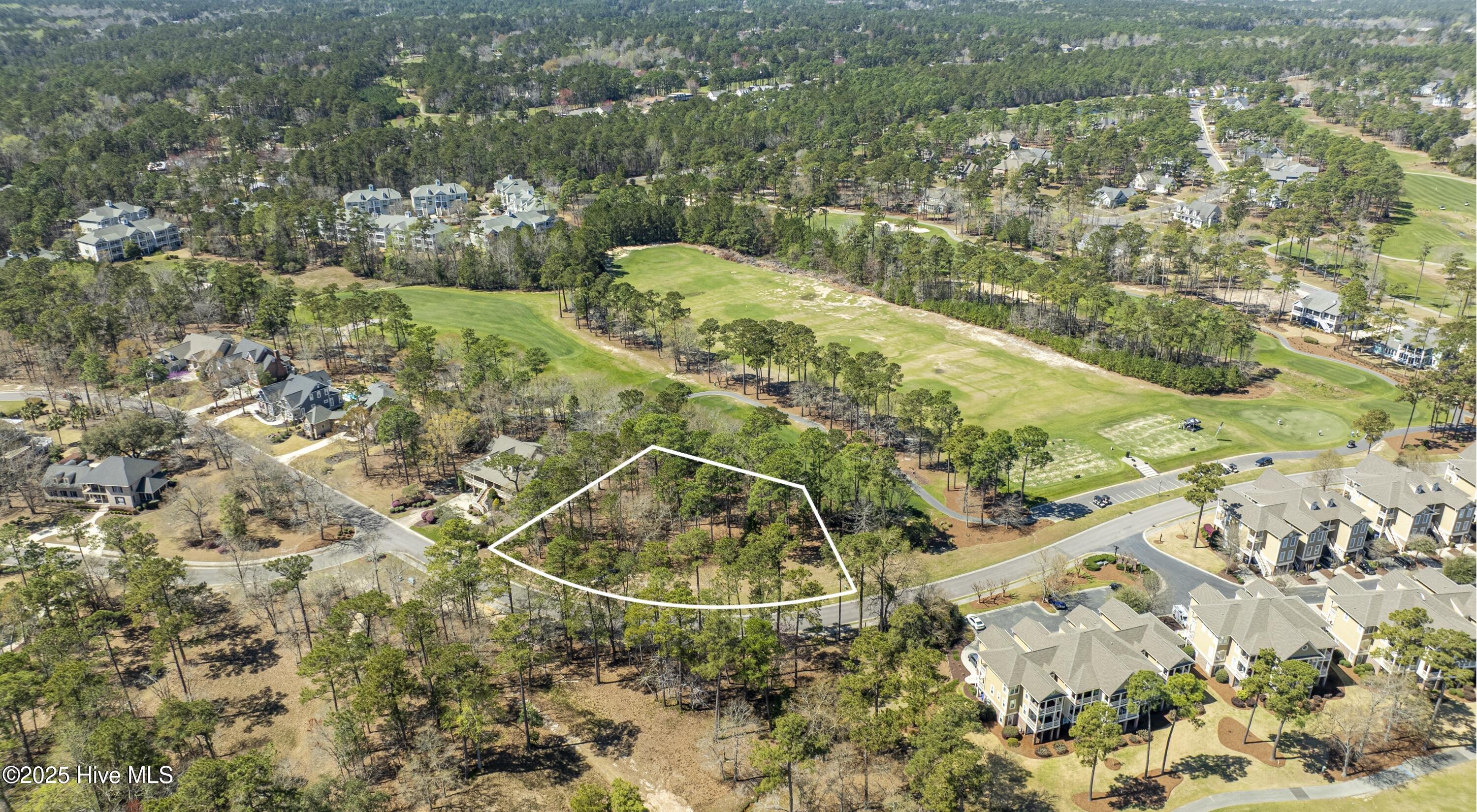 100498596 | Photo 11