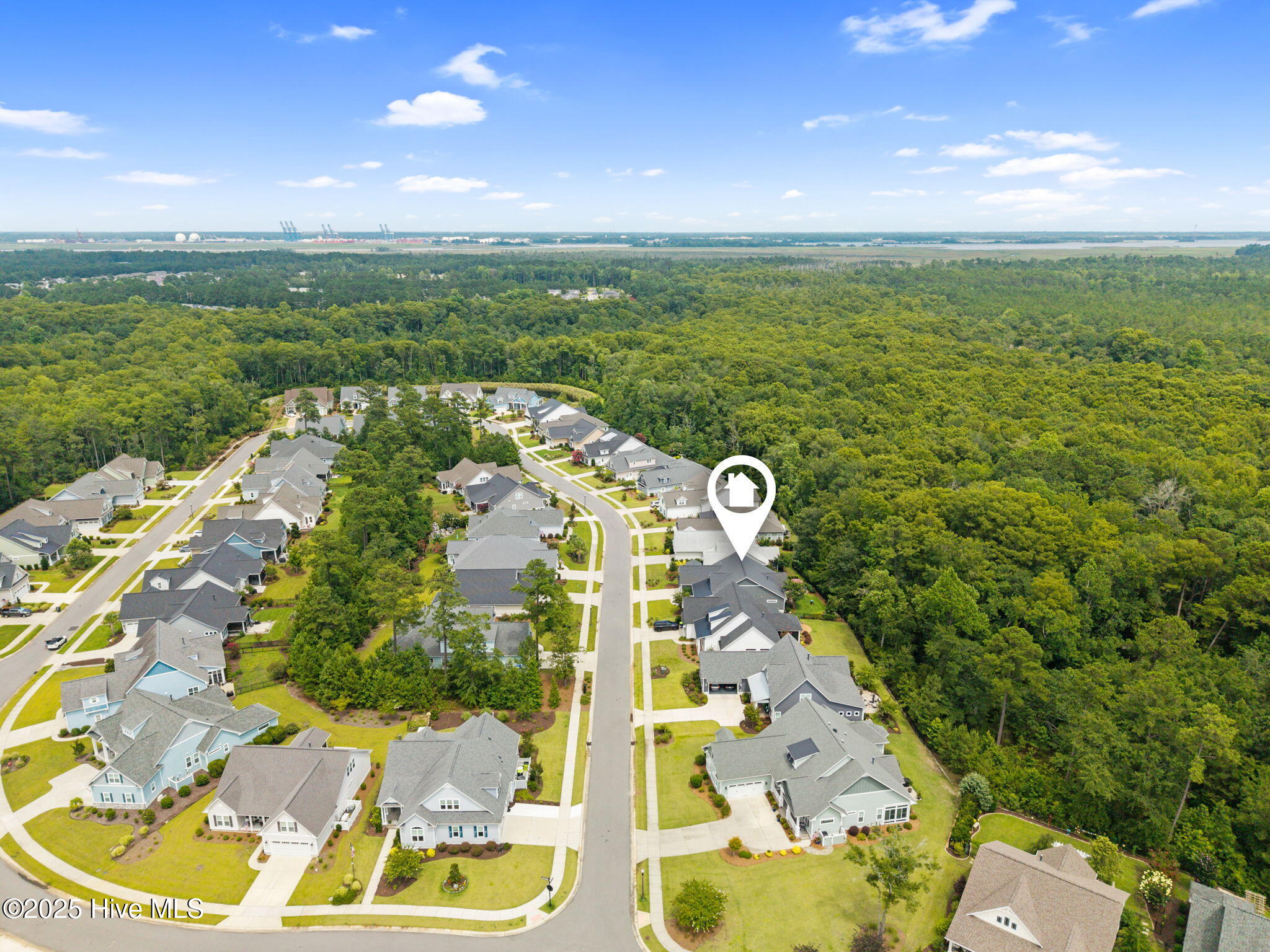 100529487 | Photo 49