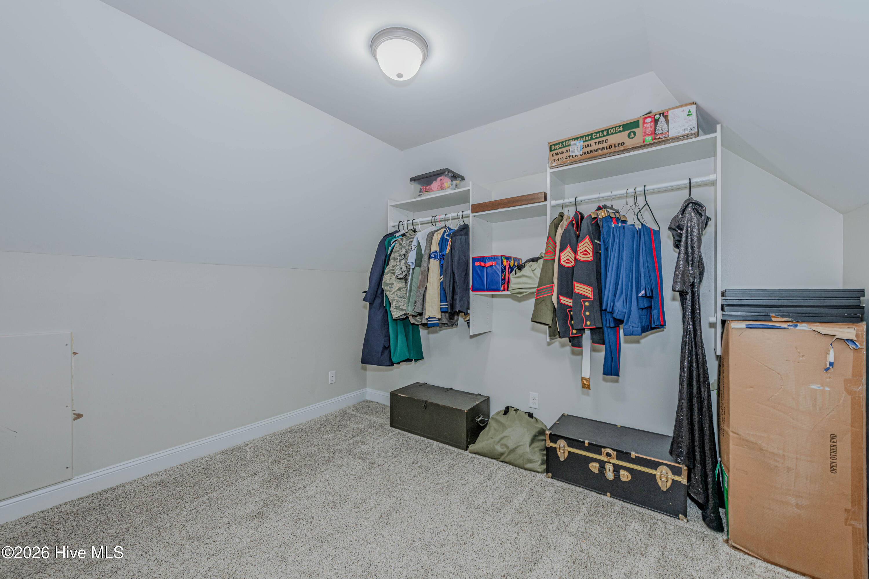 100555095 | Photo 78