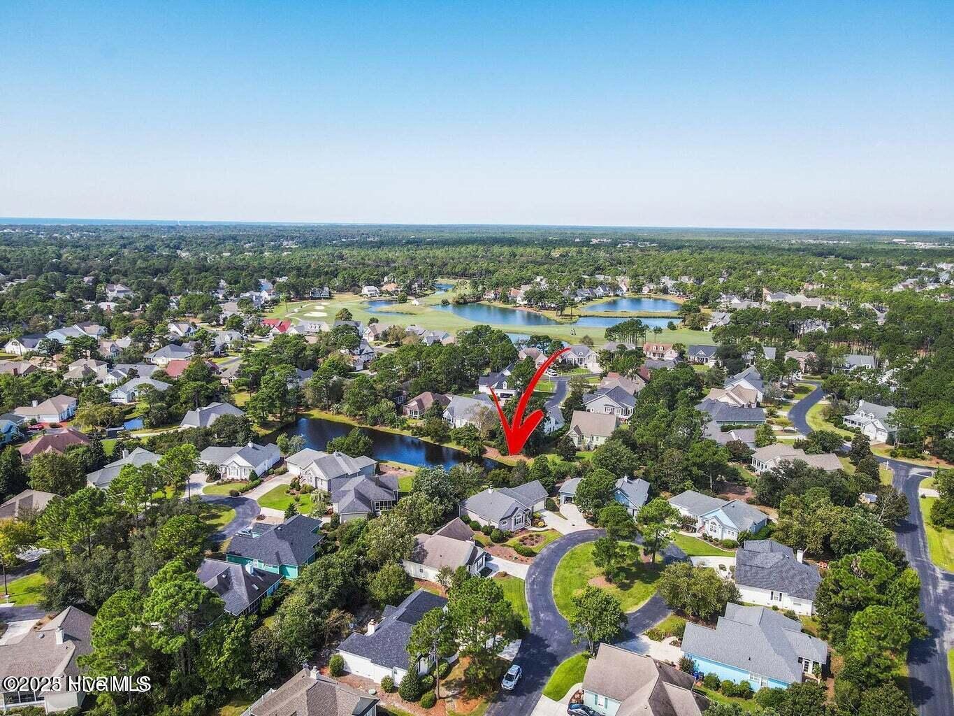 100561885 | Photo 96