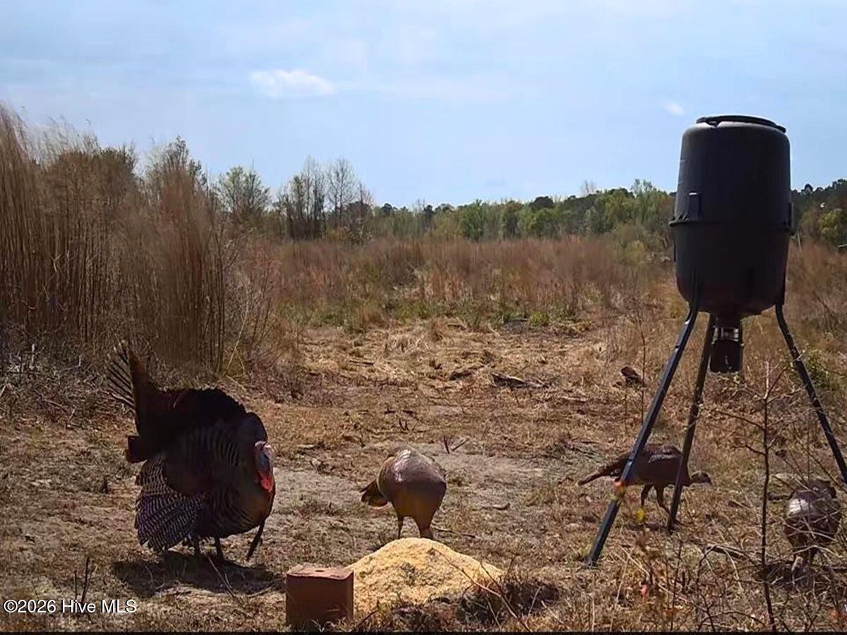 0 Durwood Evans Road, Beulaville, NC, 28518