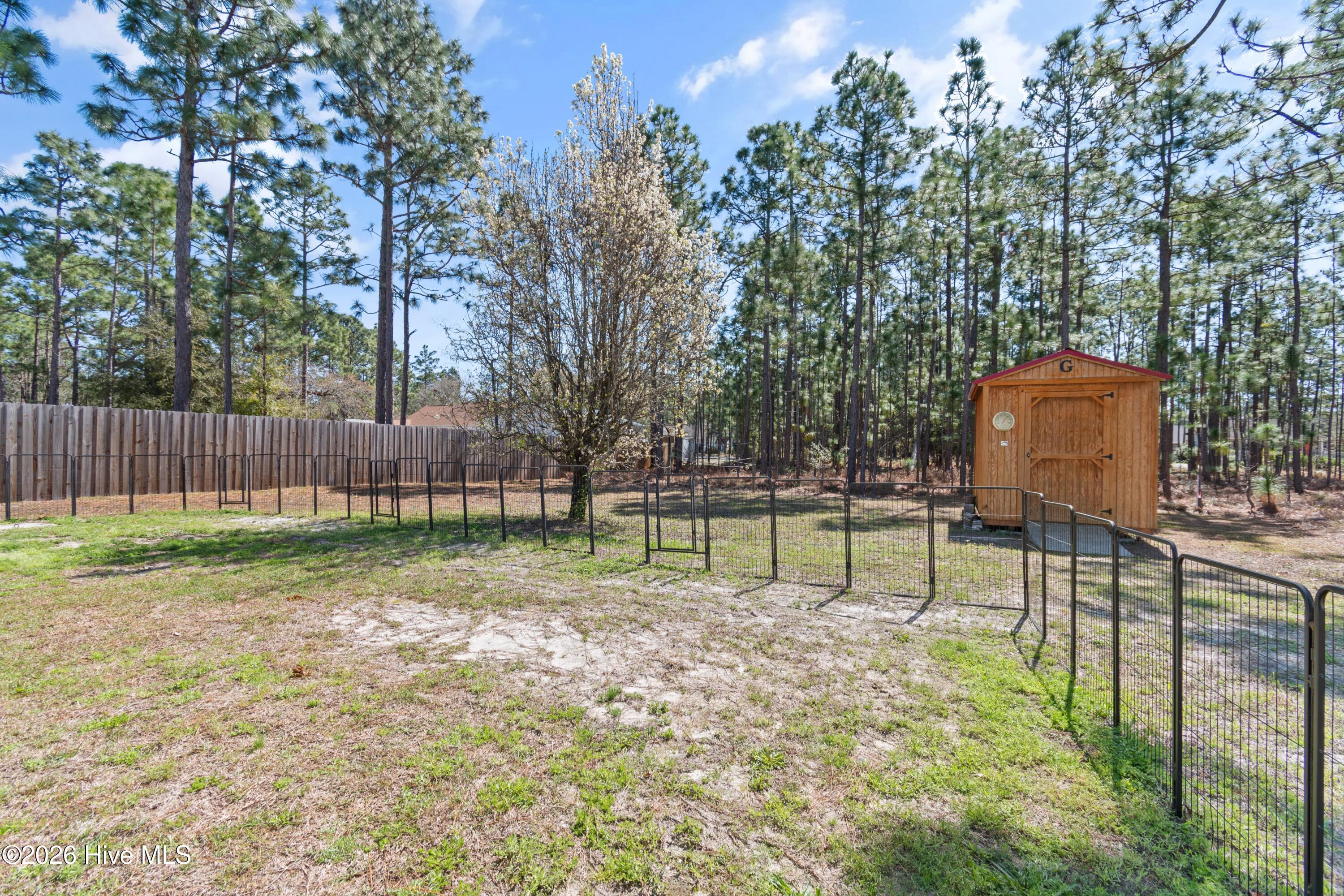 100561702 | Photo 30