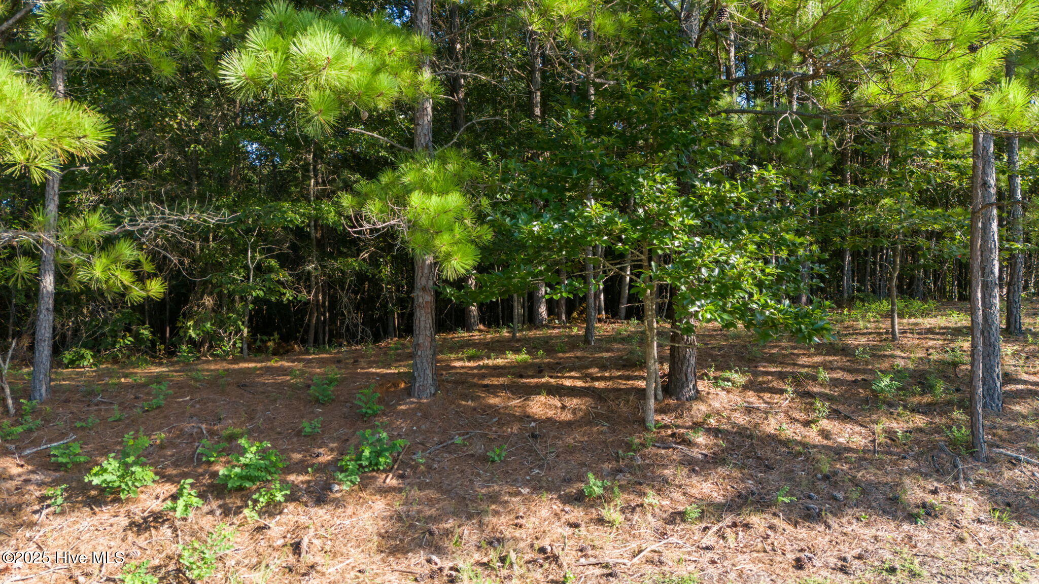 455 Broken Ridge Trail