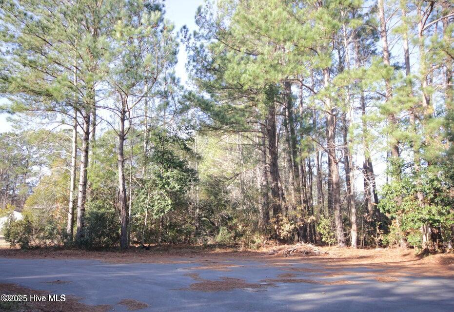 Homes for sale in Tabor City, NC | Near 107 Sykes St, Tabor City, NC 28463 | MLS# 100509666