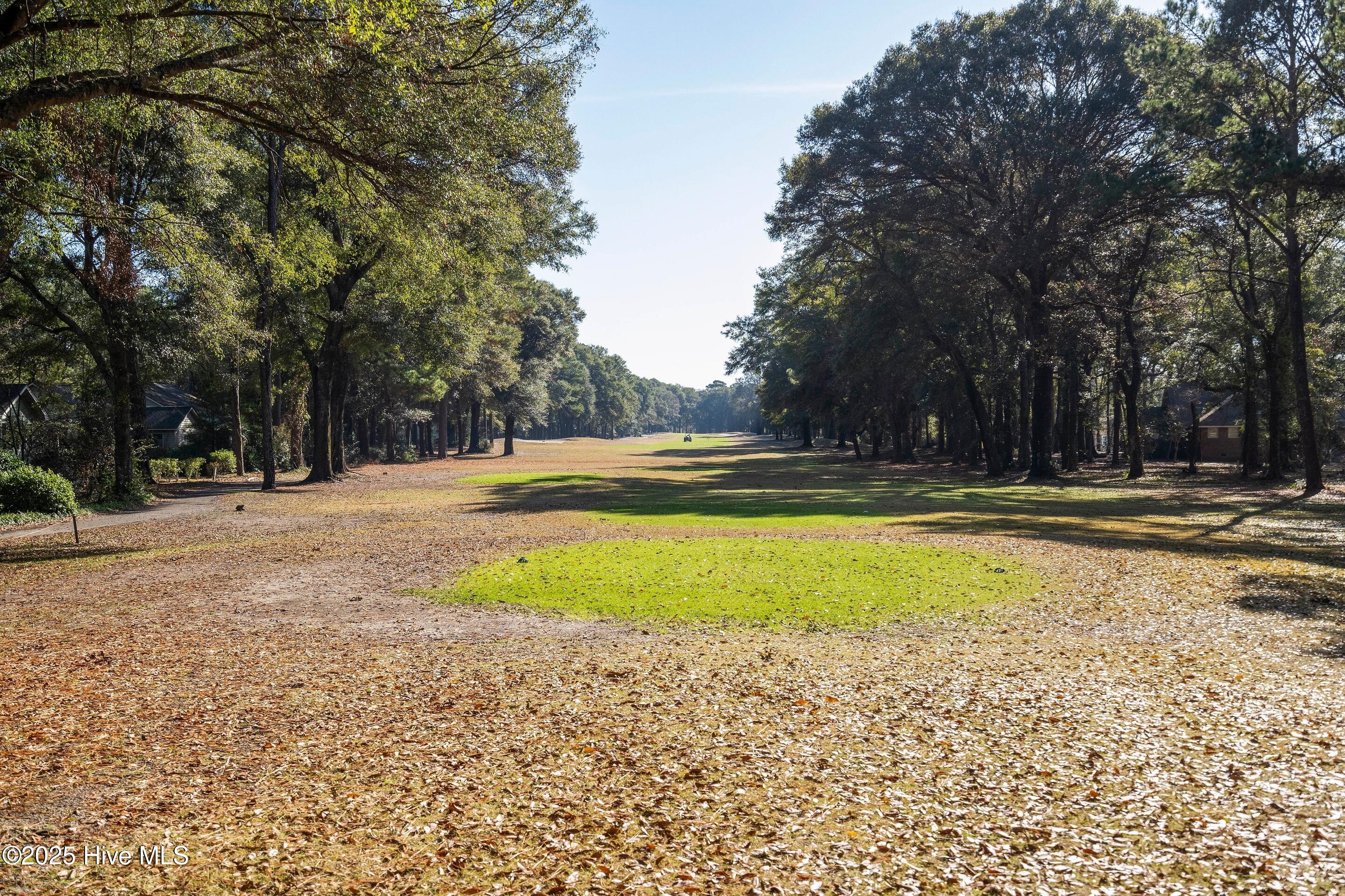 100531128 | Photo 53