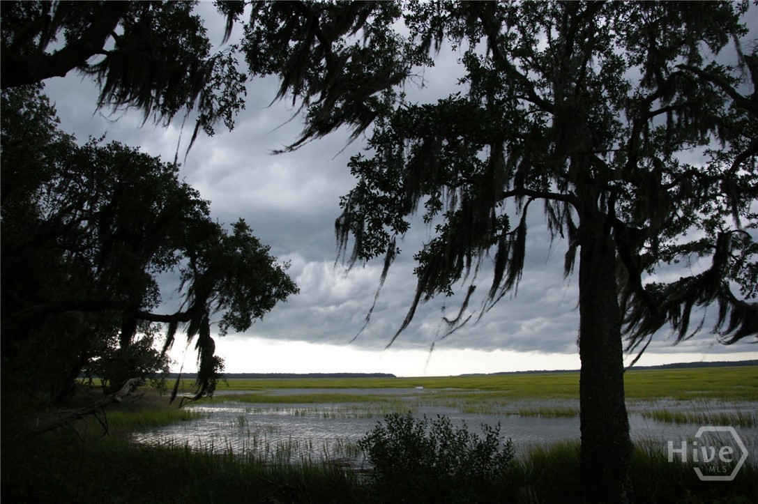 Homes for sale in Townsend, GA | Lot 239 Coopers Landing Dr Ne, Townsend, GA 31331 | MLS# SA334934