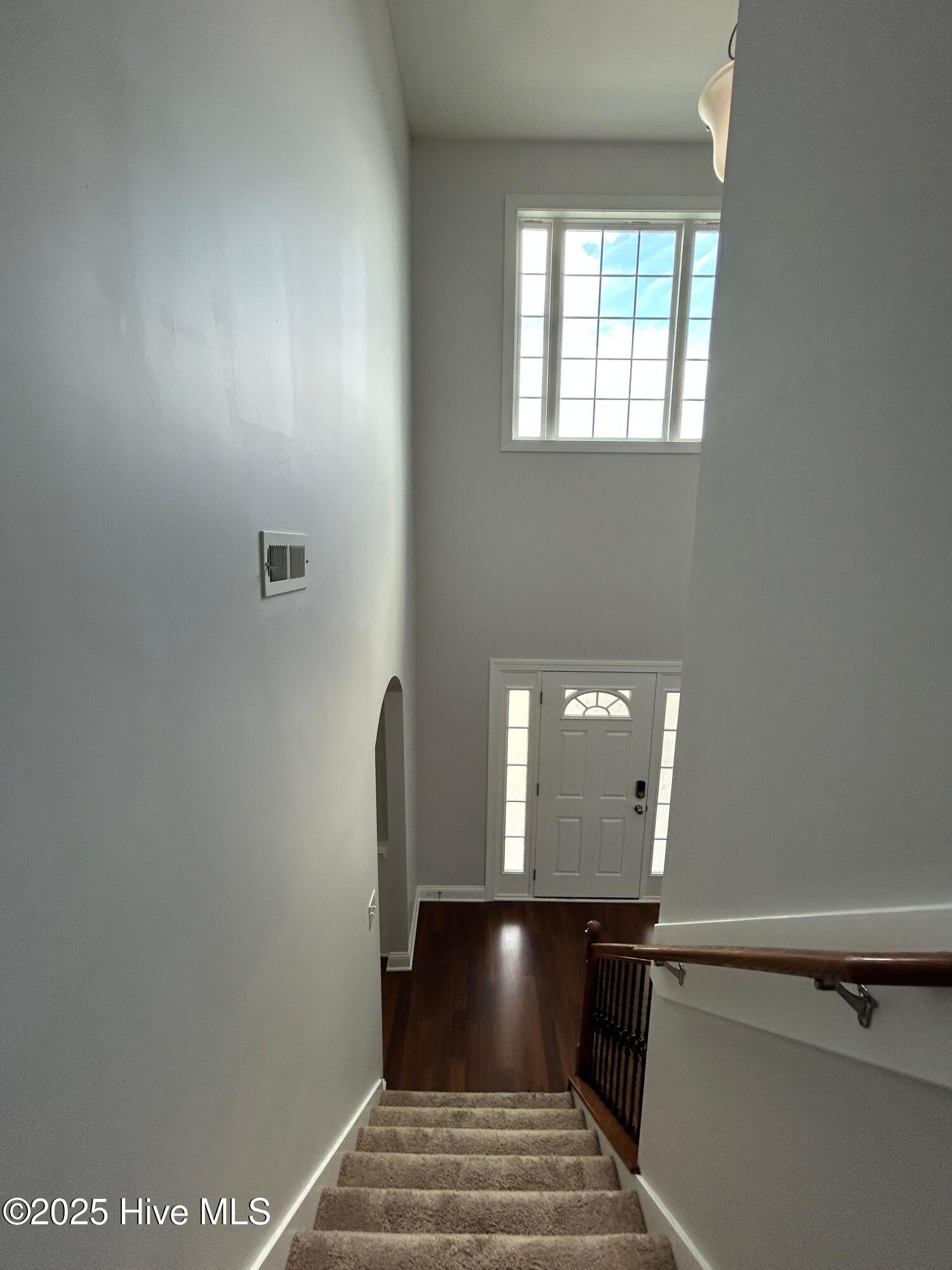 100528484 | Photo 22