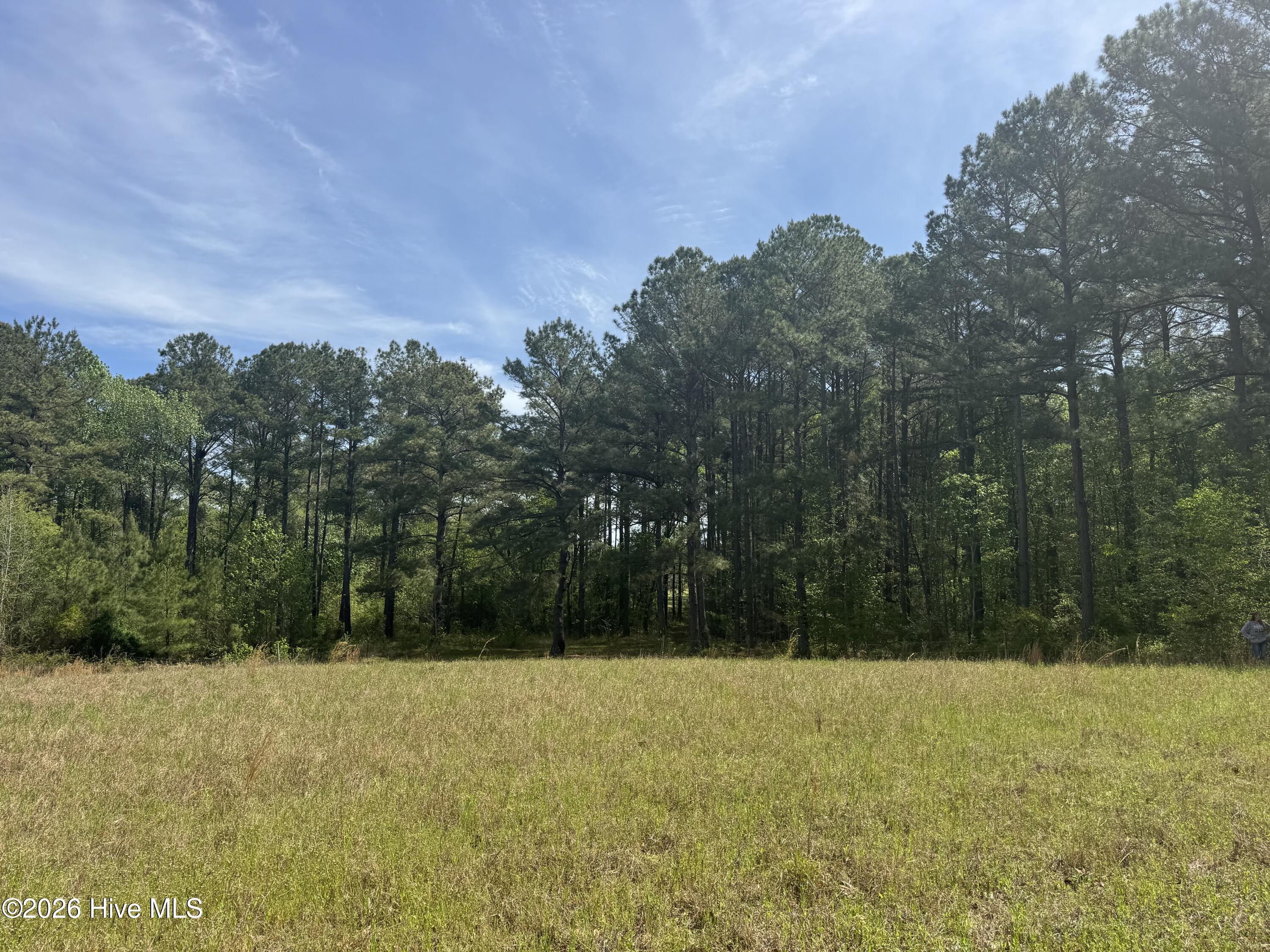 490 Springhill Church Road, Hamlet, NC, 28345