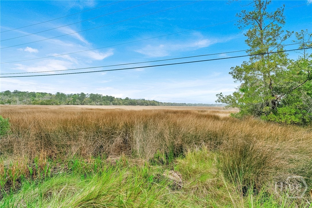 38th image of 521 Rose Dhu Rd, Savannah, GA 31419 | MLS# SA352040