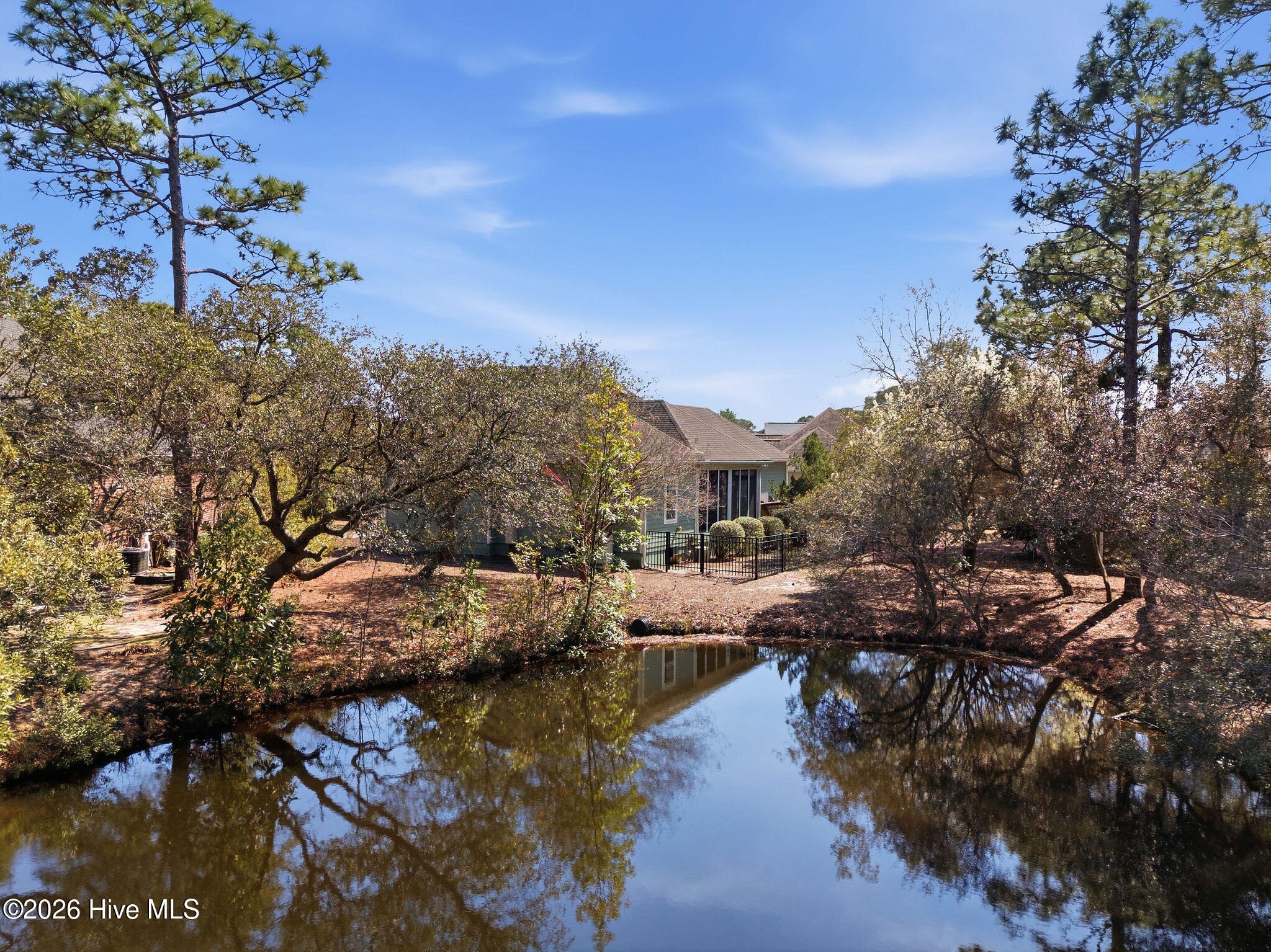 100560993 | Photo 40