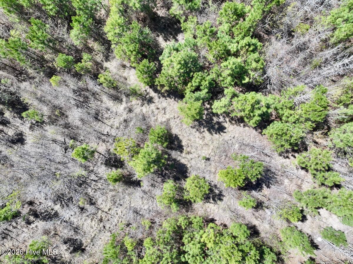 0 Guinea Mill Road, Ernul, NC, 28527