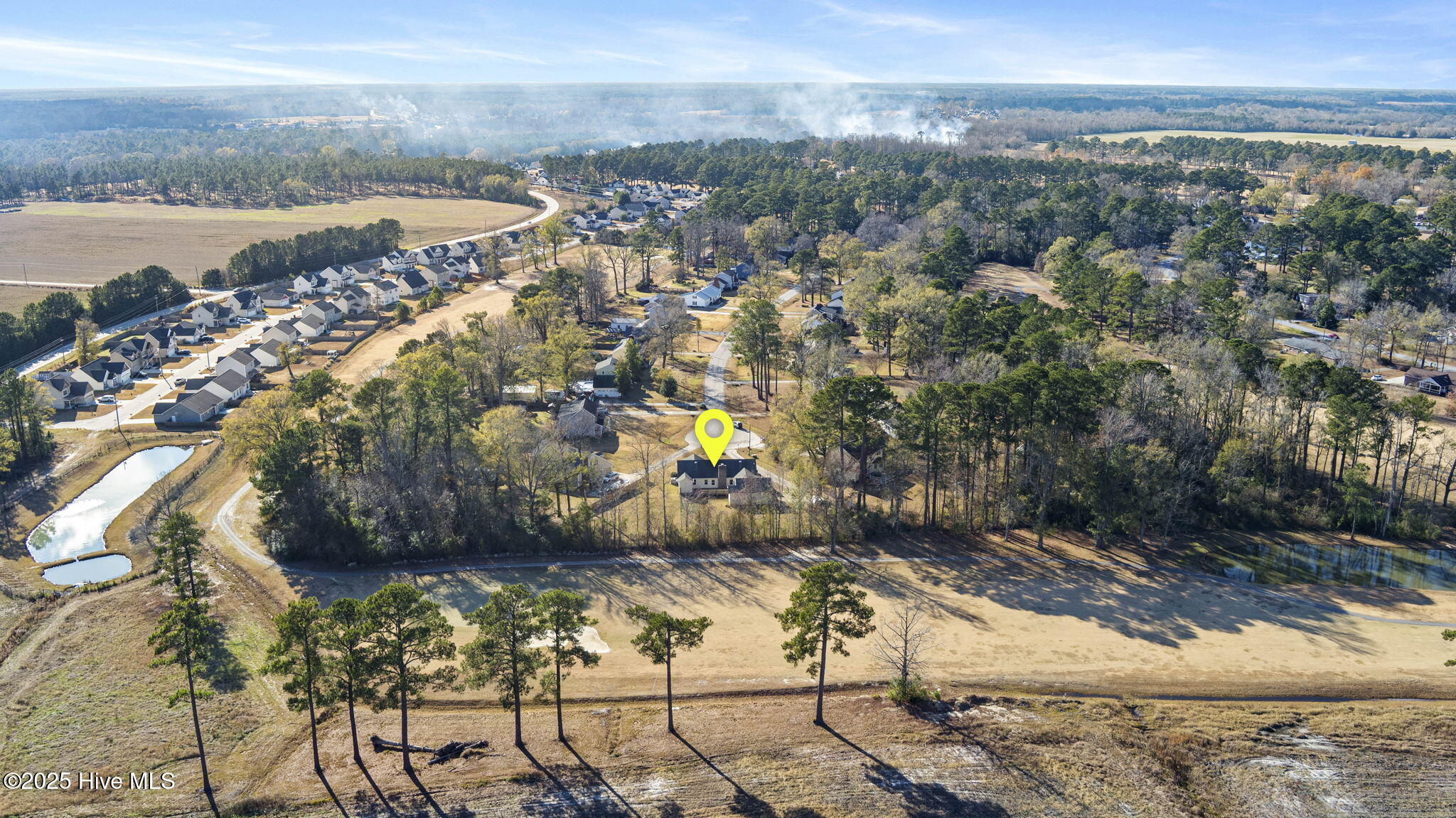 100545145 | Photo 67