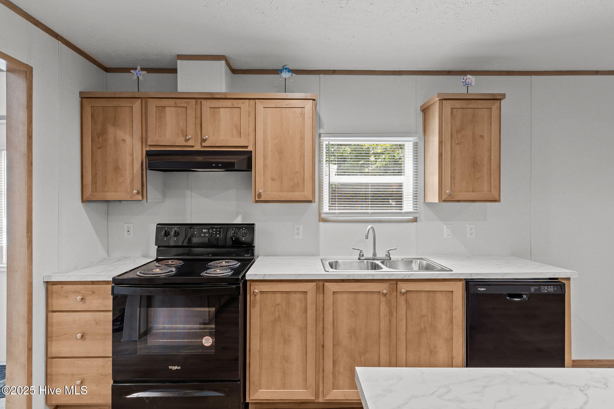 100522935 | Photo 11