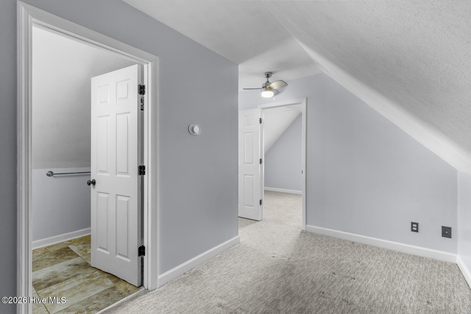 100563110 | Photo 40