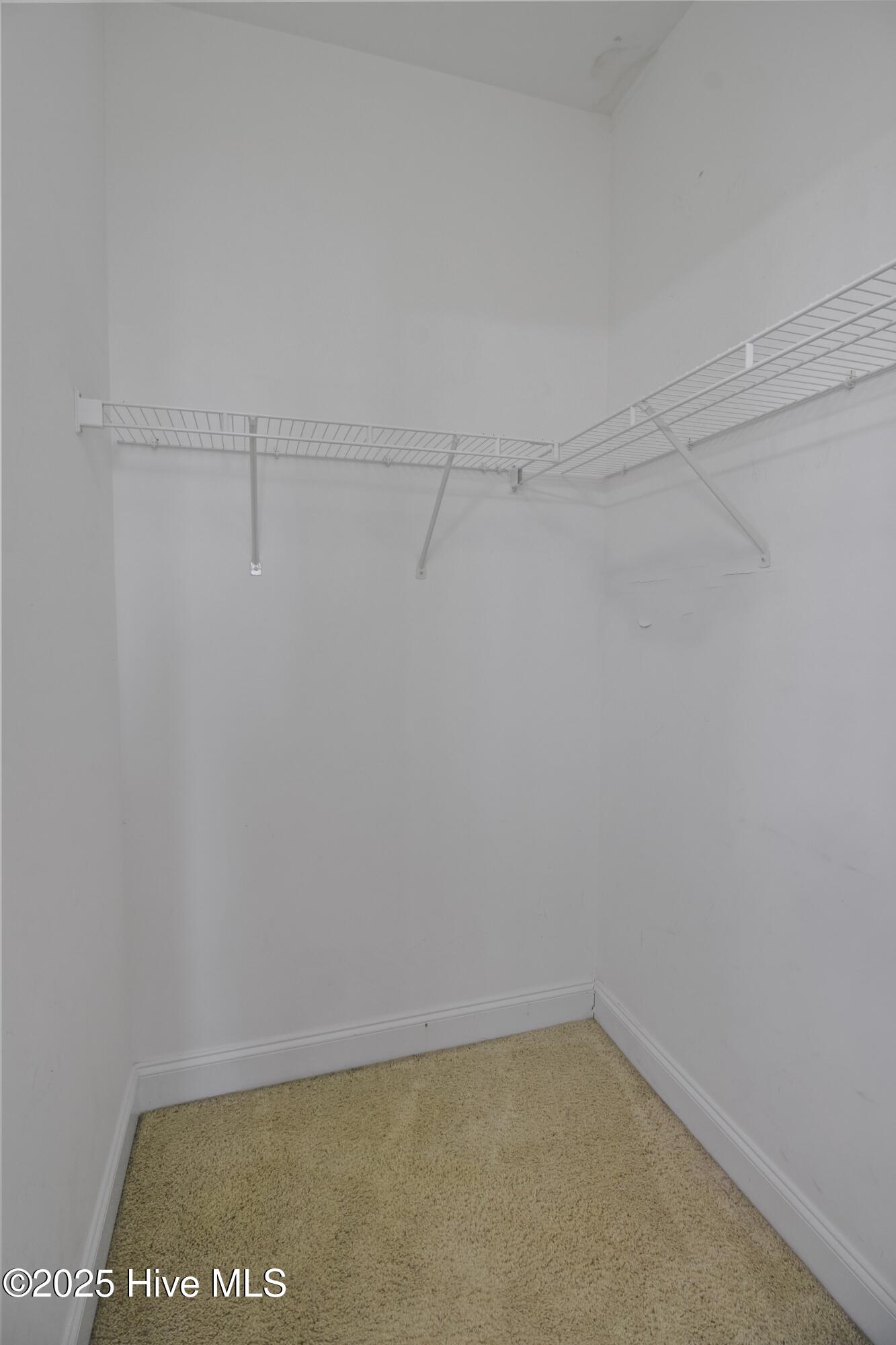 100541594 | Photo 27